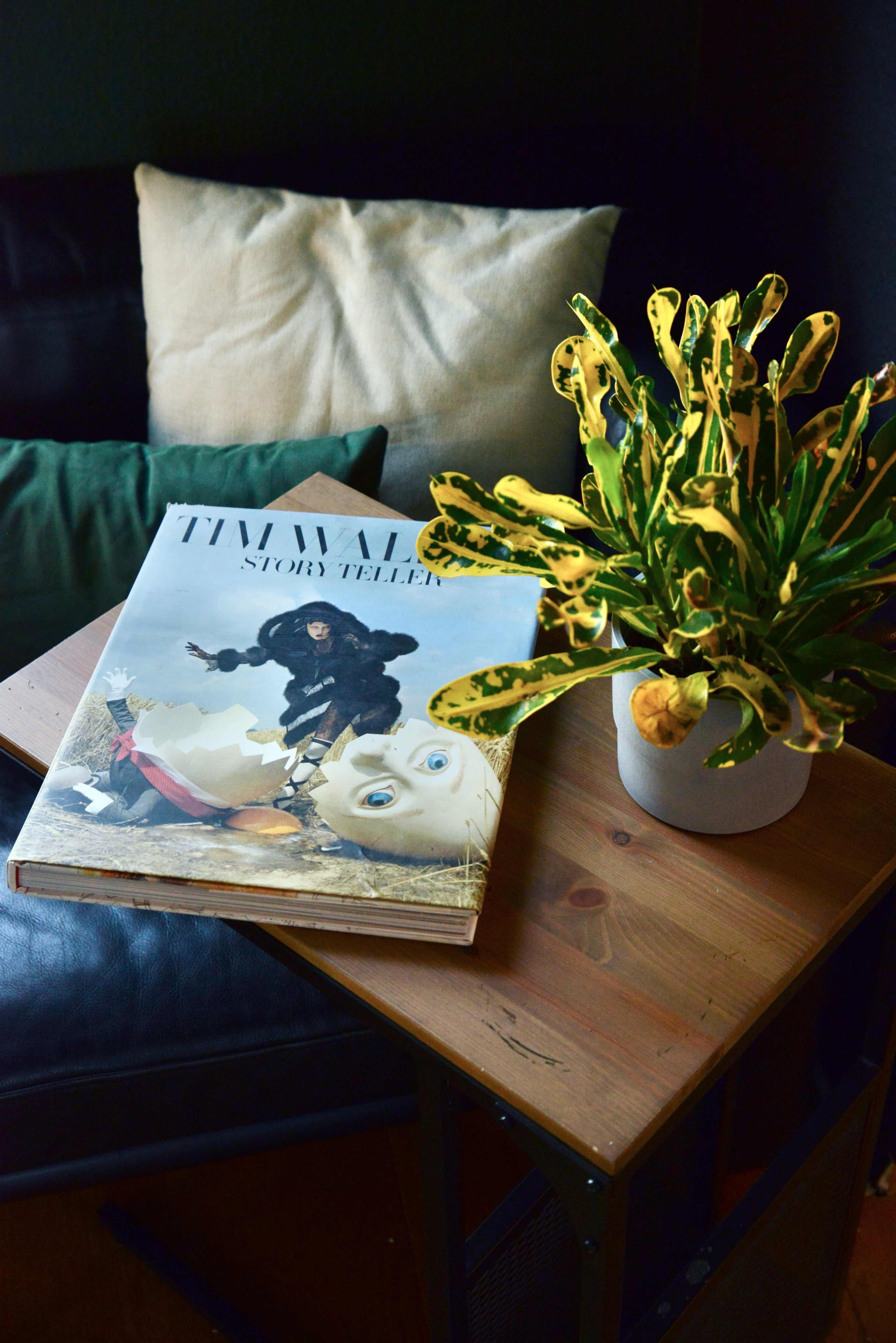 A large book titled "Tim Walker: Story Teller" rests on a wooden table beside a potted plant while a cozy couch is partially visible in the background.