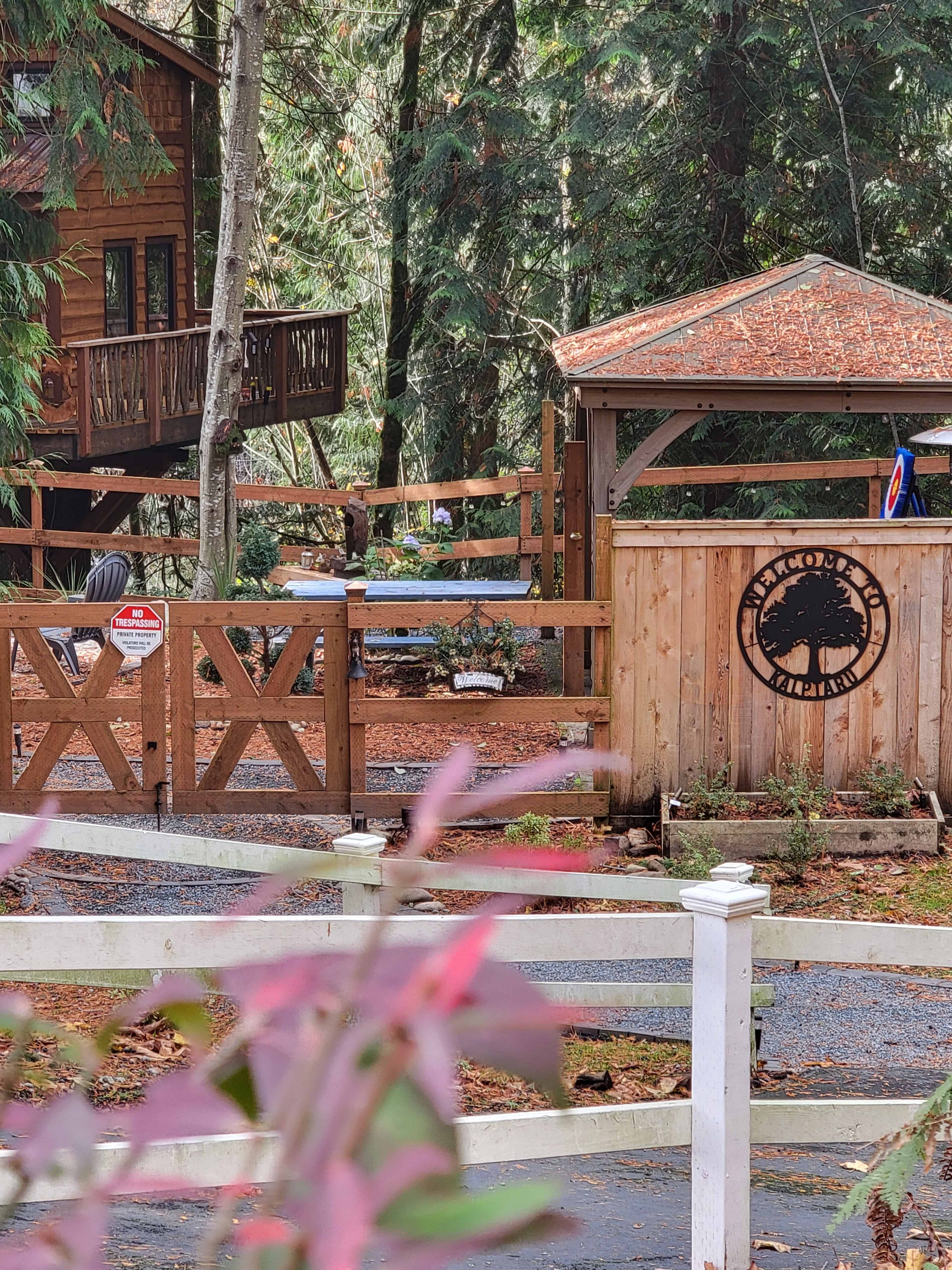The image shows a wooden cabin and a gazebo surrounded by trees, with a fenced area and a sign labeled "Patacole Lodge" visible near the entrance.