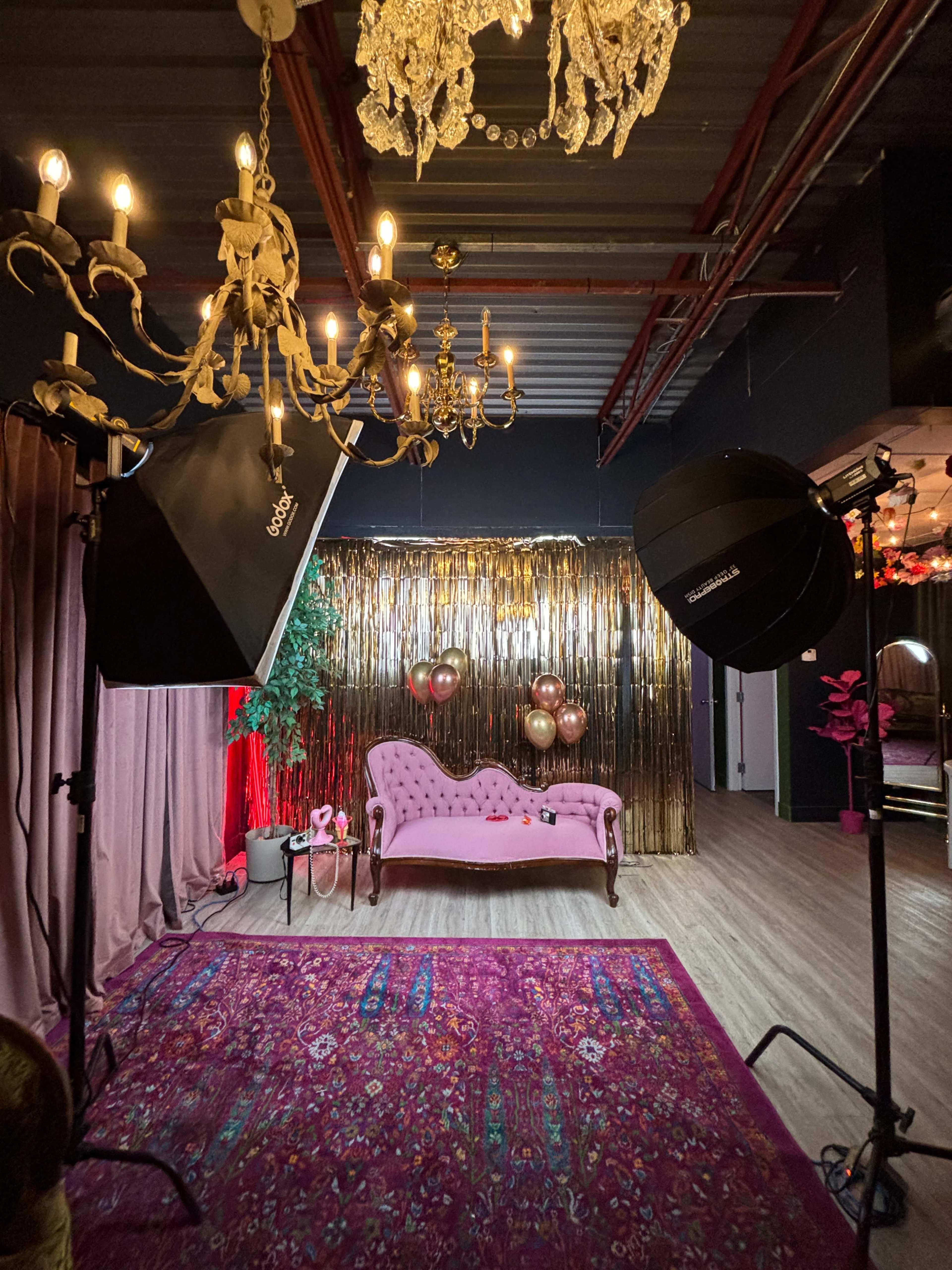 Multi-Set Photo Studio - Vintage Neon Night Garden Image in Highland Park, Calgary, AB