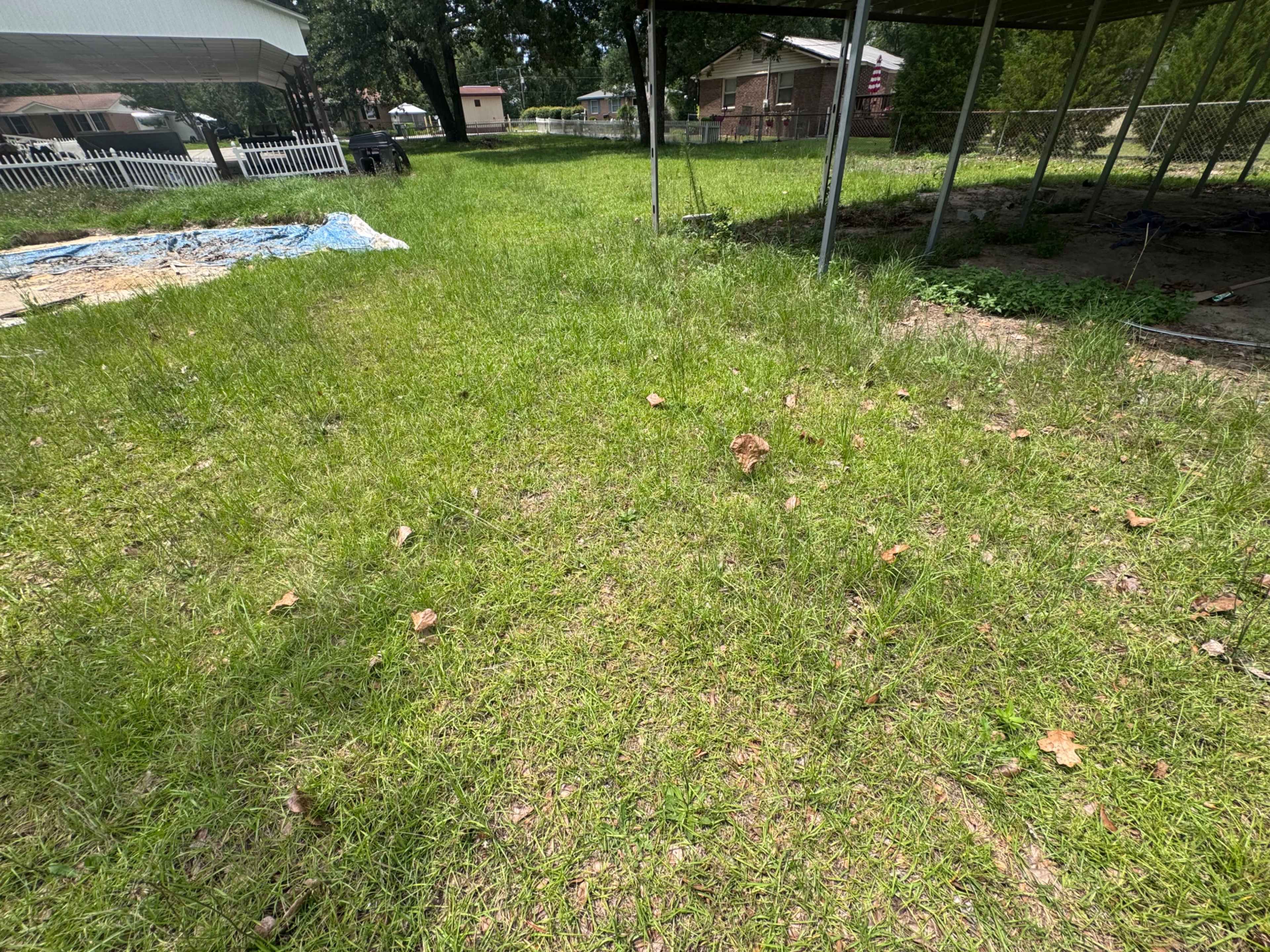 The image shows a grassy area with sparse patches of grass, scattered leaves, and a few objects in the background, including a white fence and some structures.