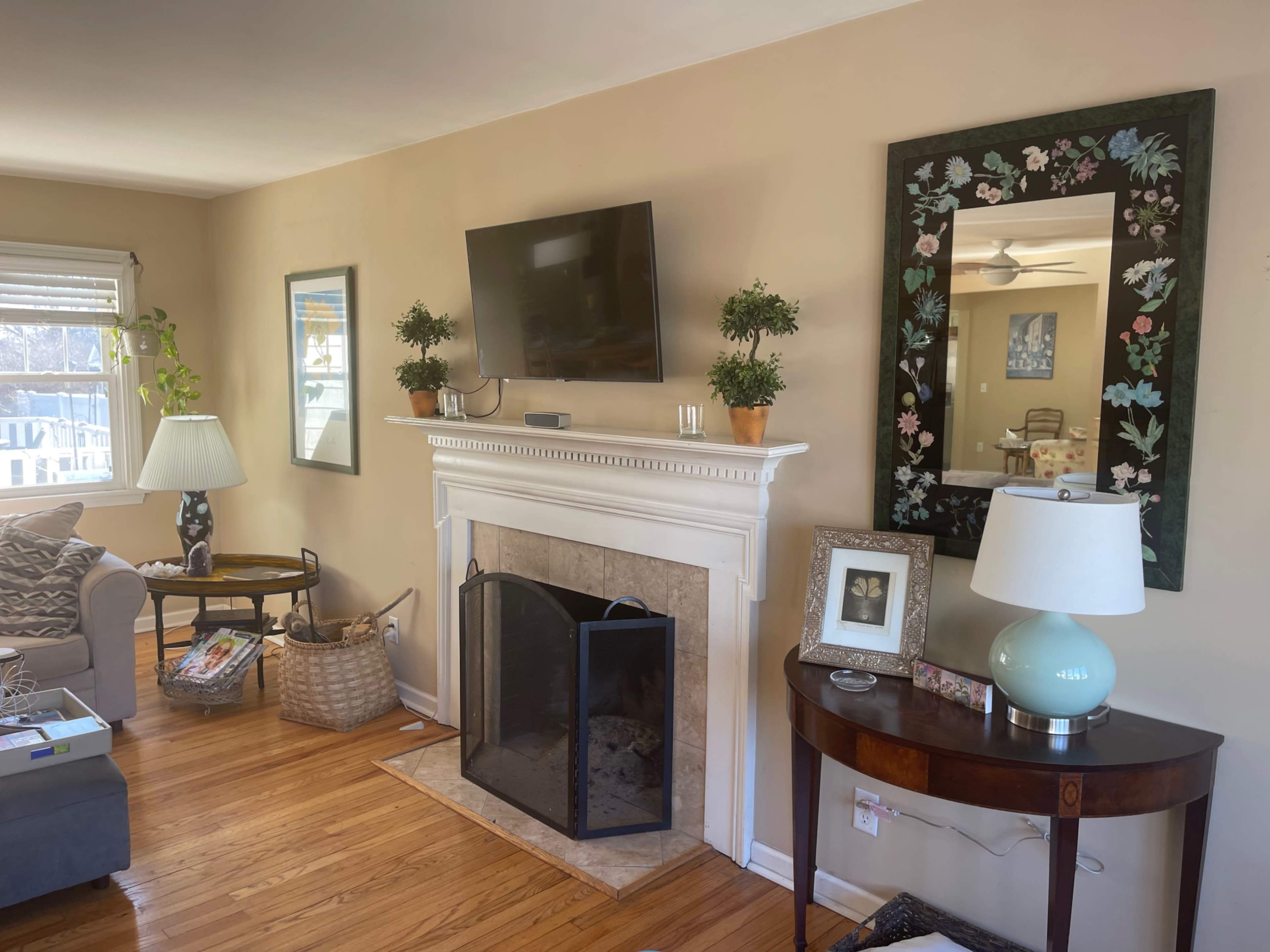 A living room with a fireplace, a mounted television above the mantel, plants on the mantel, and a mirror with a floral frame on the wall.