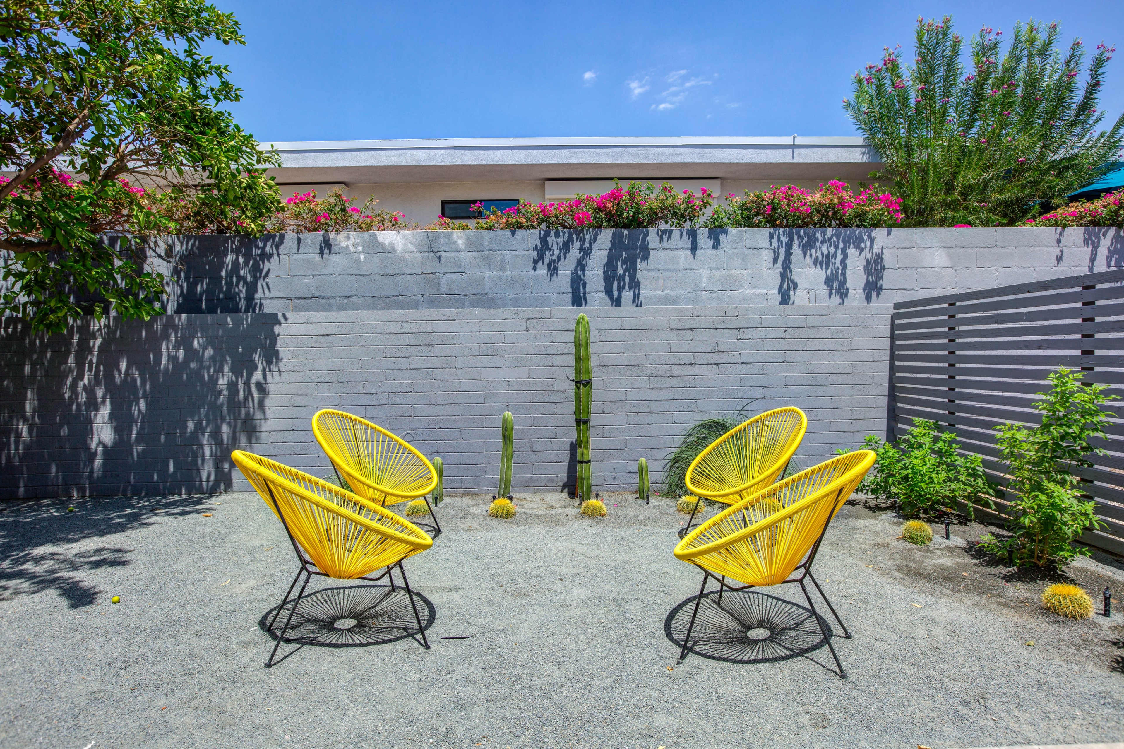 A landscaped outdoor space features four yellow chairs arranged around small cactus plants on gravel.