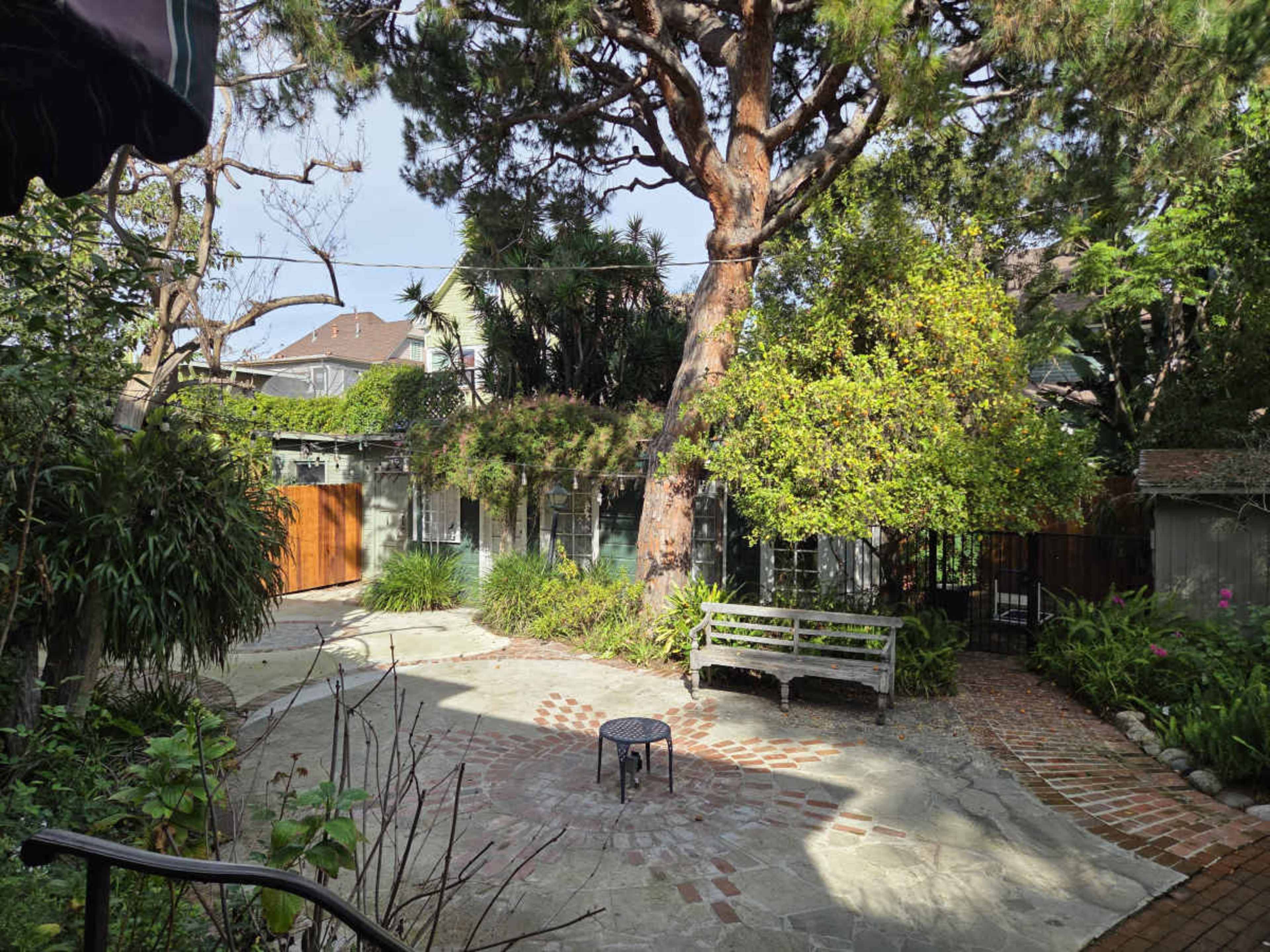The image shows a garden area featuring a stone path, a bench, and various plants surrounded by trees and a wooden fence.
