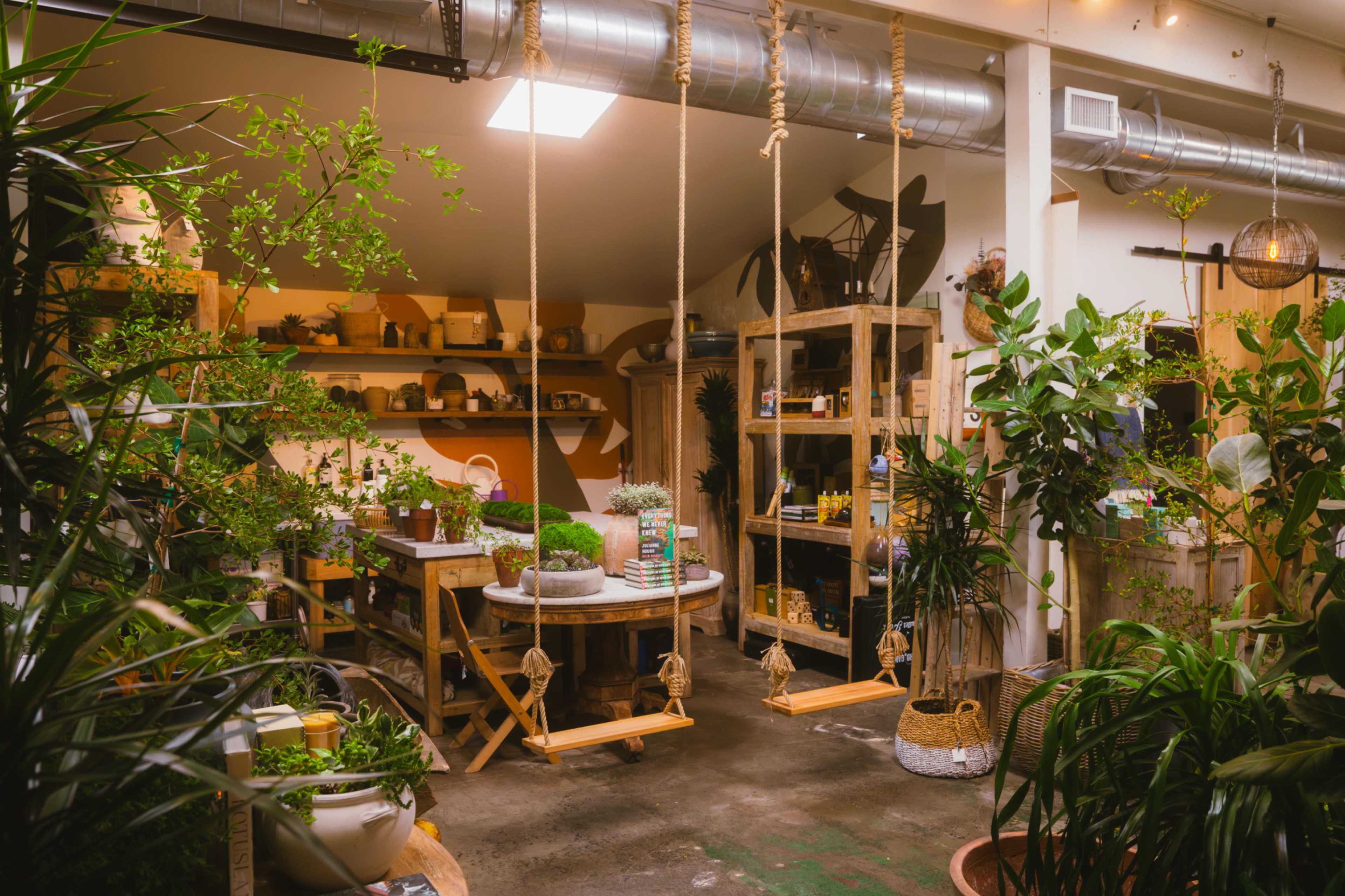 The image shows a plant-filled shop interior with wooden swings hanging from the ceiling and shelves adorned with various pots and greenery.