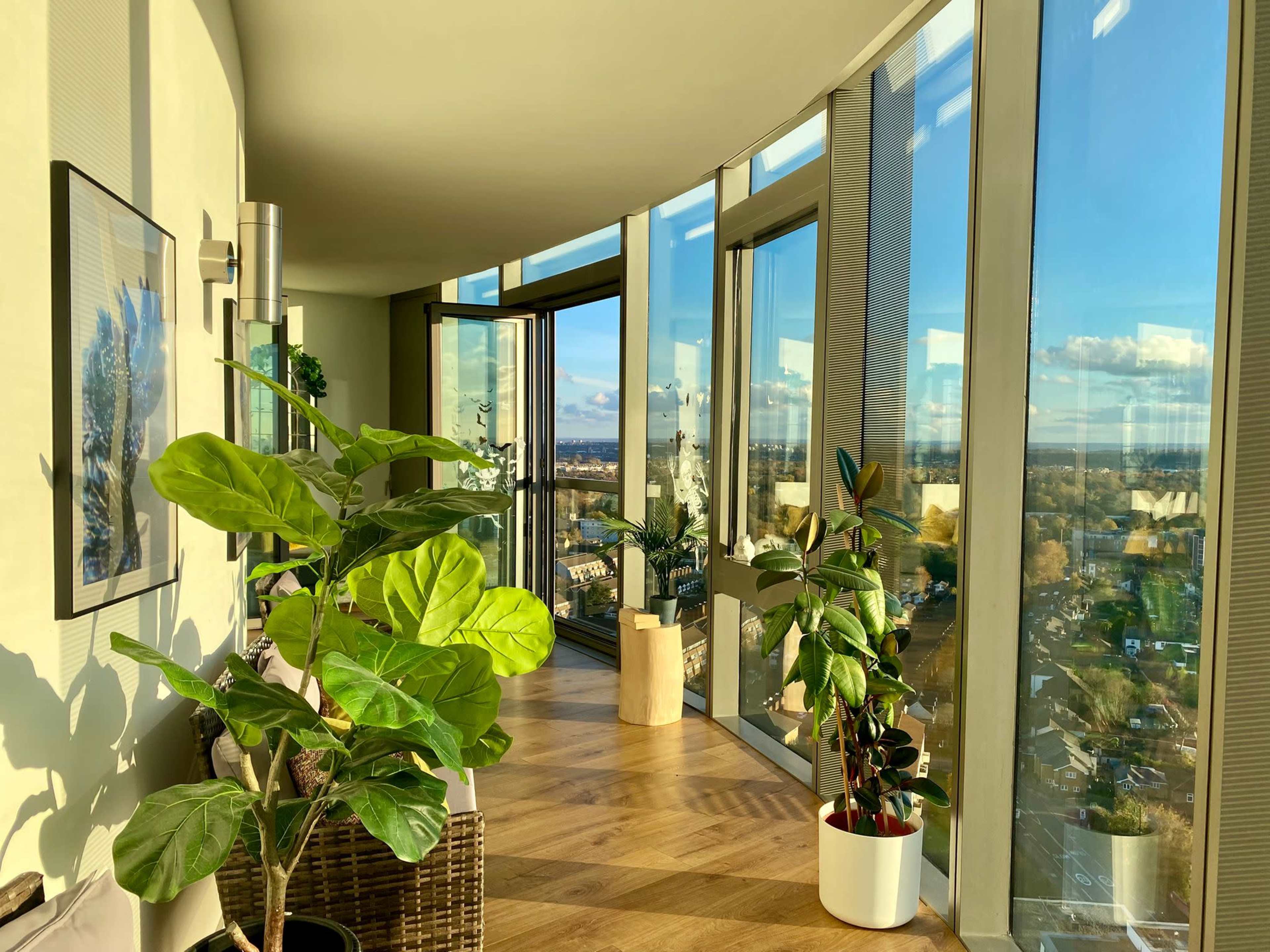 A sunlit corner of a modern living space features large glass windows offering a view of the landscape, with potted plants placed on the hardwood floor.