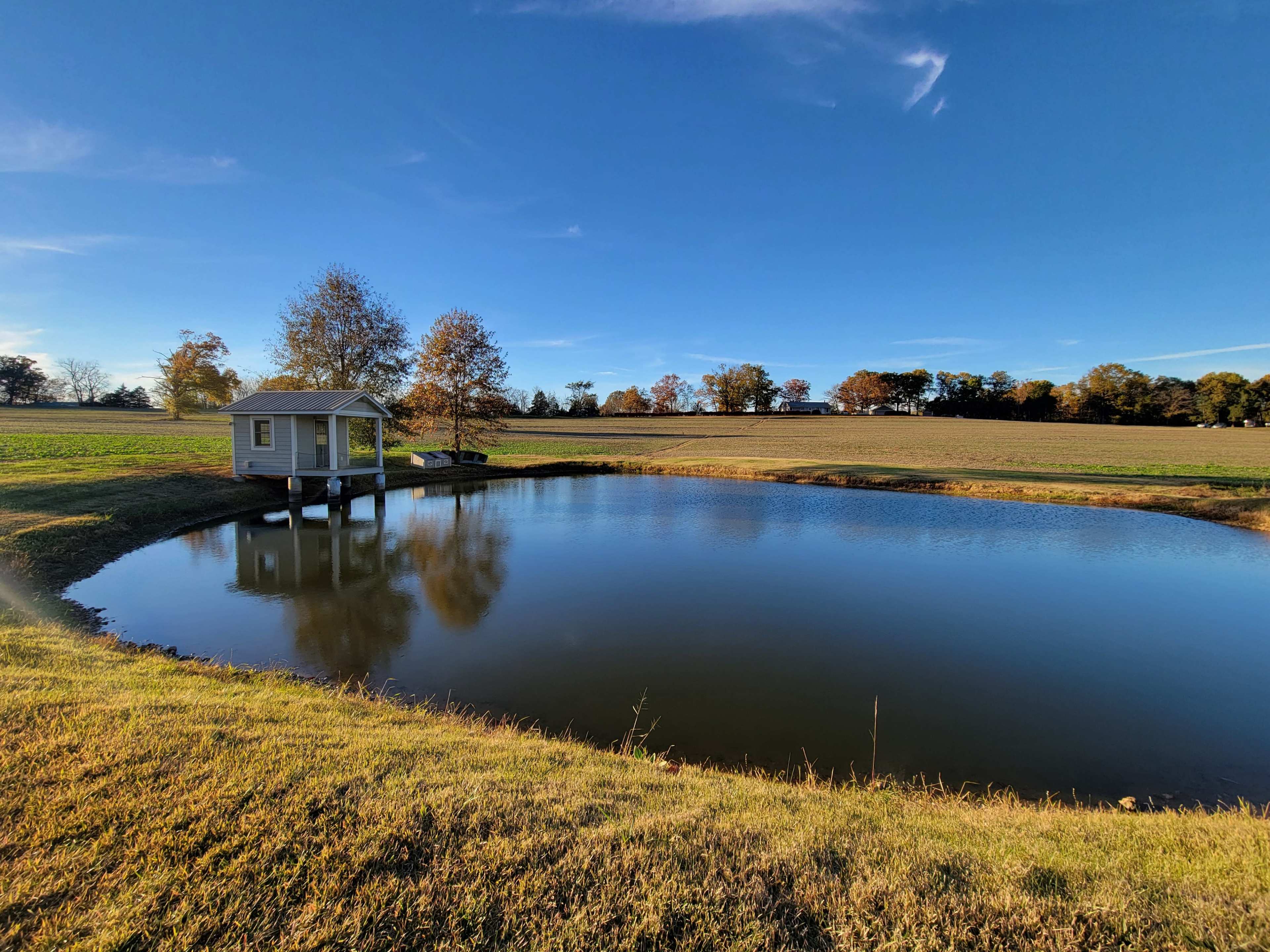 A small detached structure sits on stilts next to a calm pond, surrounded by a grassy area and trees under a clear blue sky.