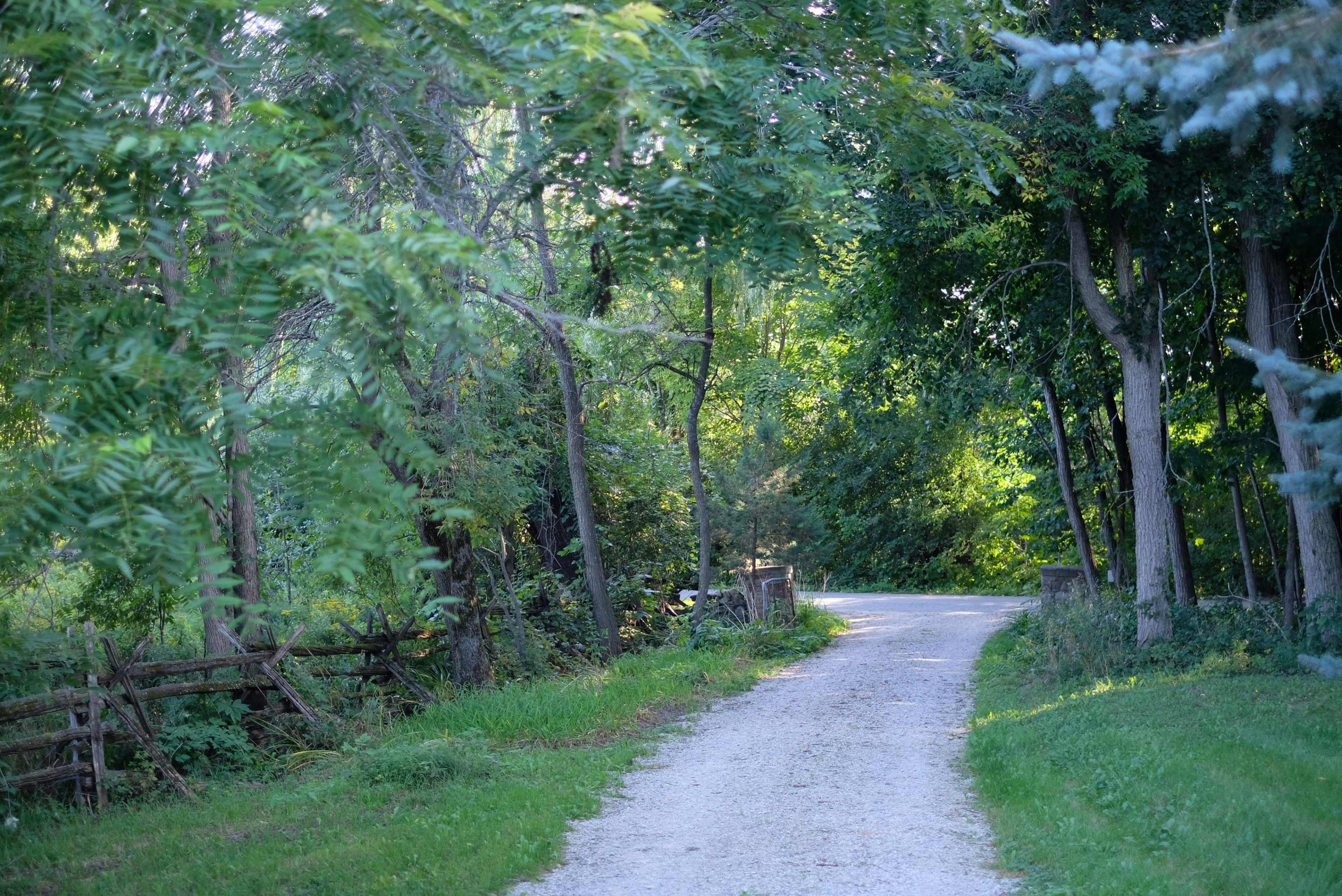 A gravel path winds through a dense, green forest bordered by trees and a wooden fence.
