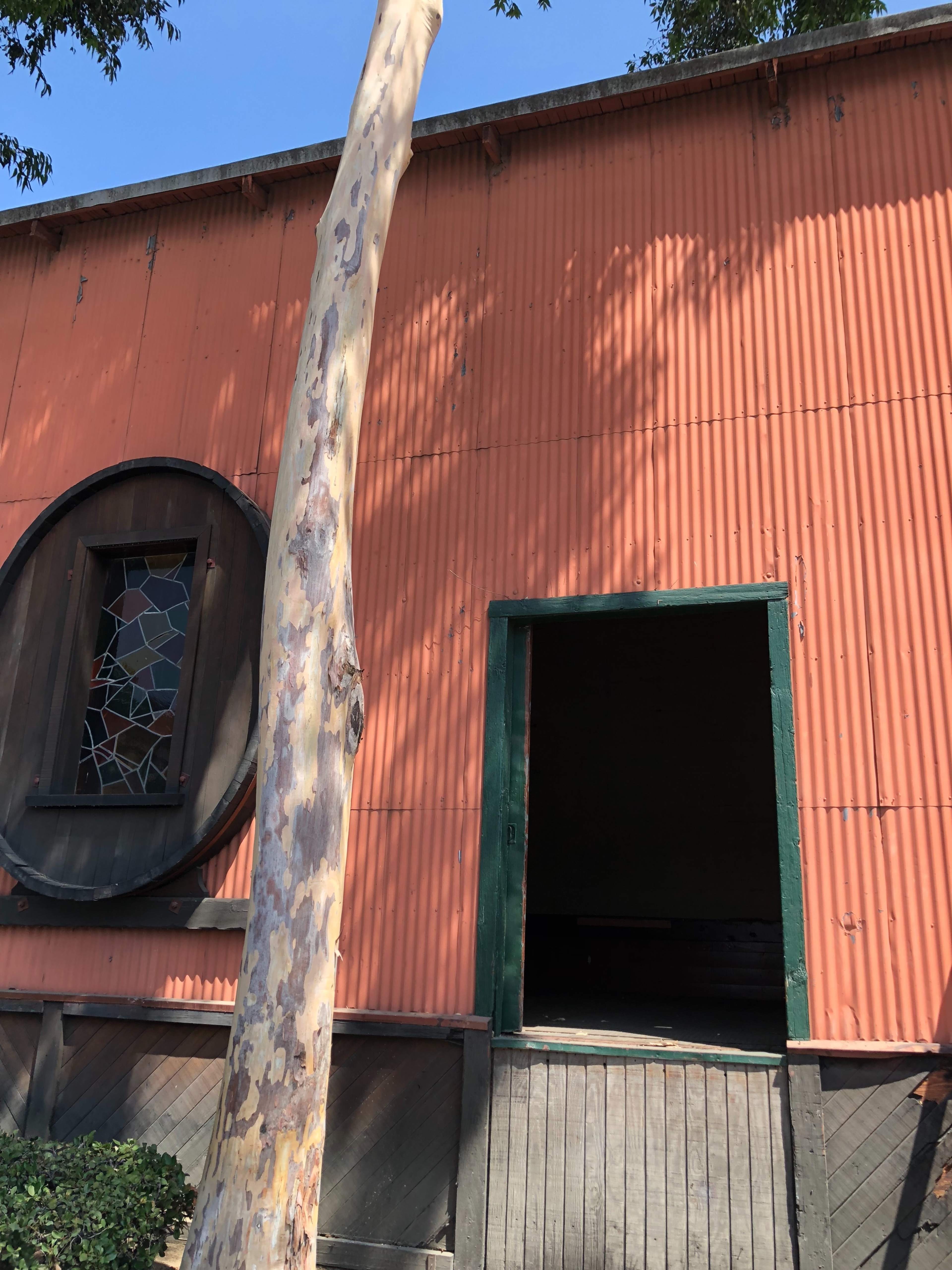 A weathered orange building with a large round window and an open doorway beneath a tall tree.