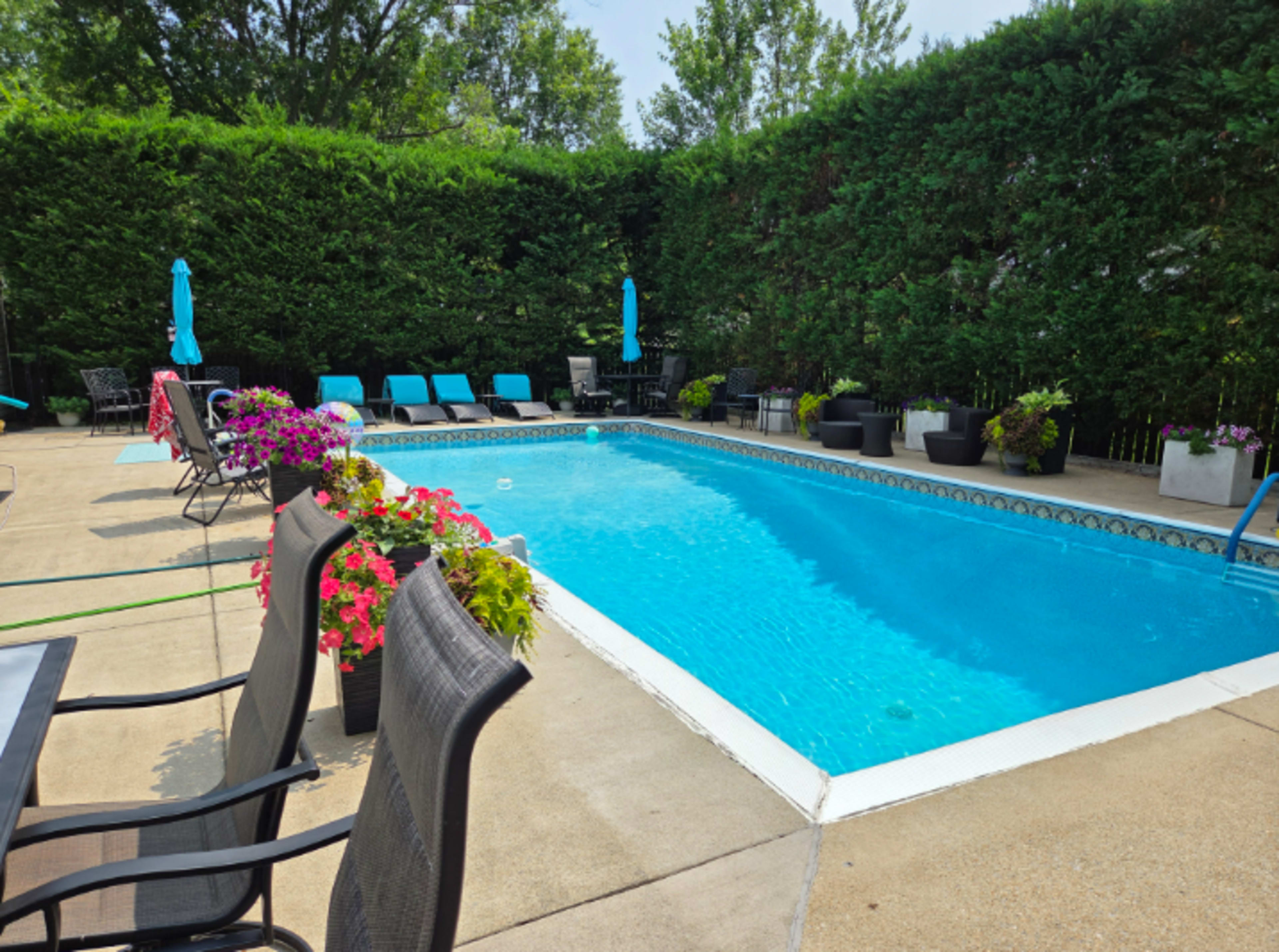 Beautifully landscaped pool and back yard with gazebo Image in Woodlawn, ALEXANDRIA, VA