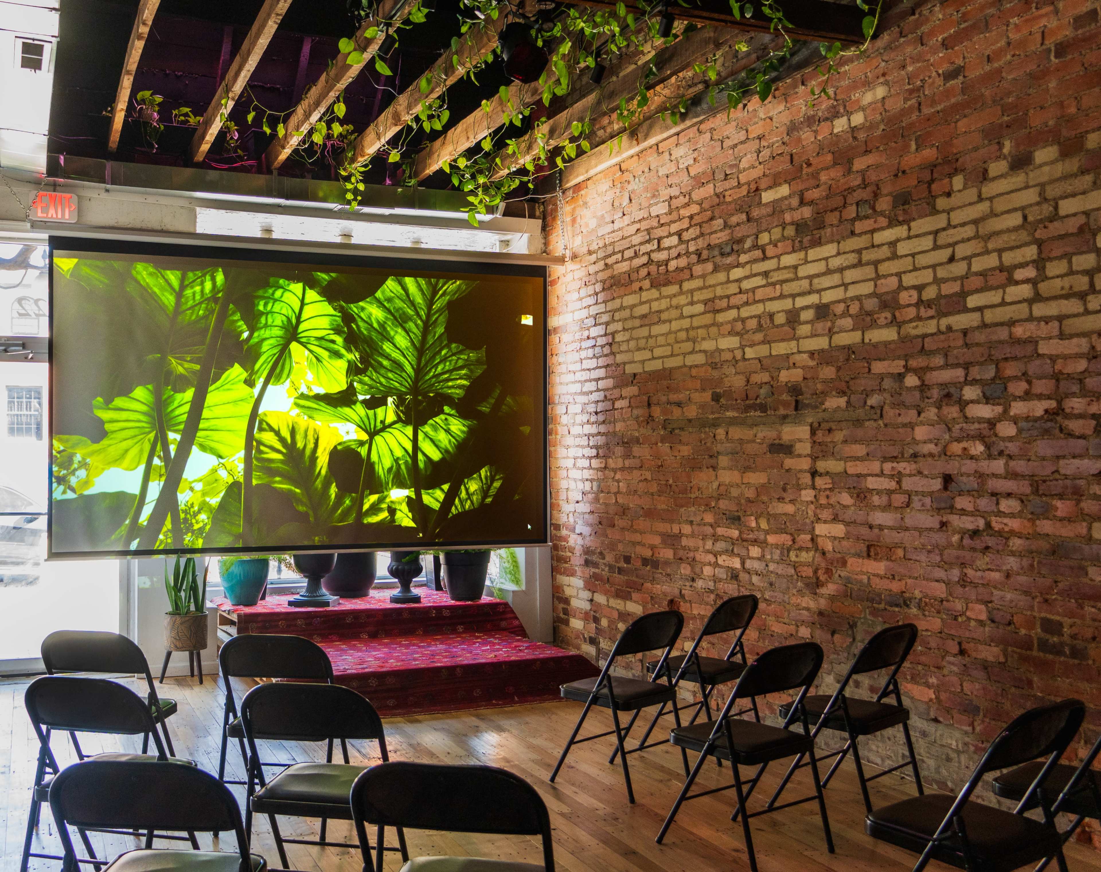 A room with brick walls, a large screen displaying green leaves, and several black folding chairs arranged in front.