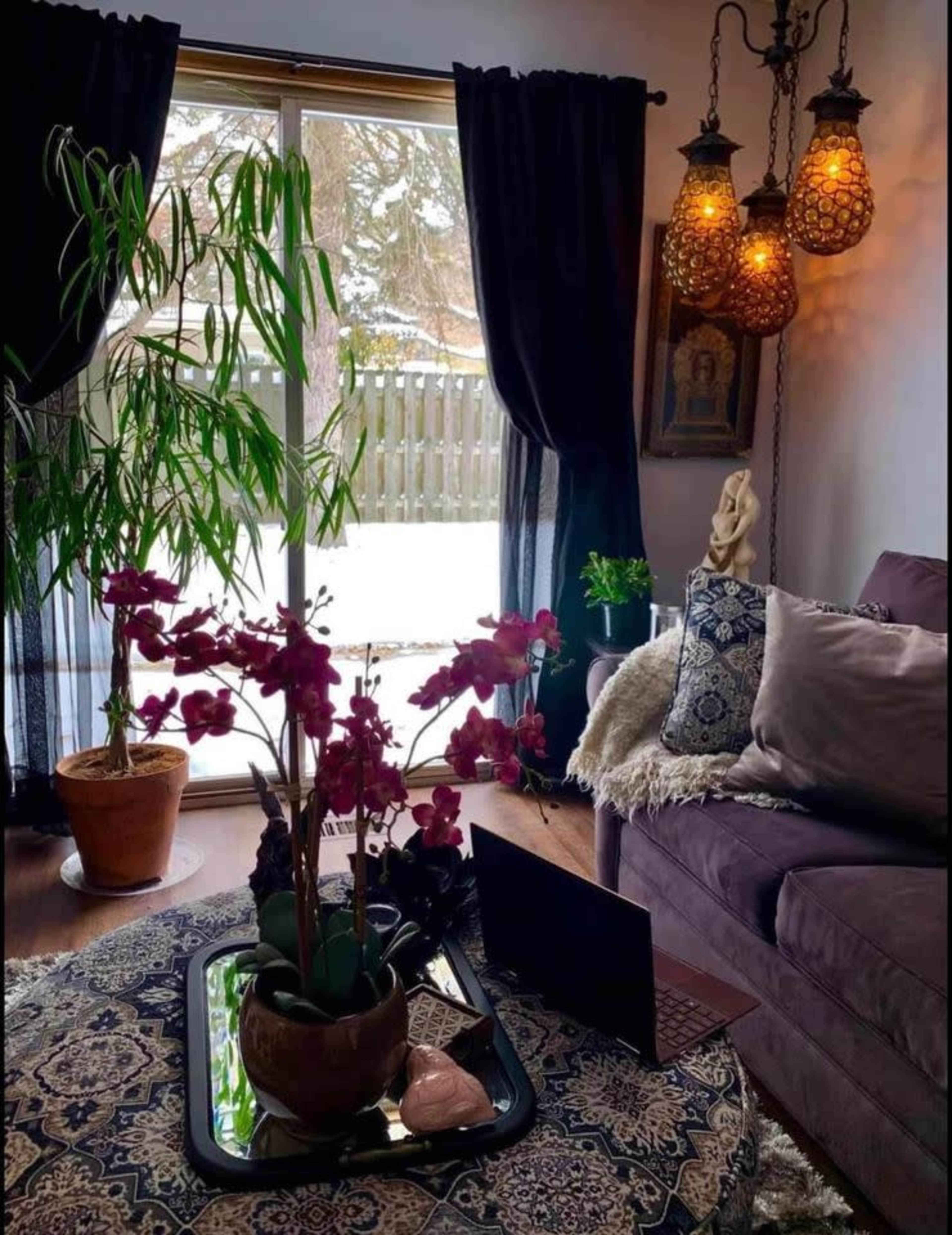 A cozy living room with a purple couch, a coffee table adorned with a plant and decorative items, and large windows covered by dark curtains, revealing a snowy outdoor scene.