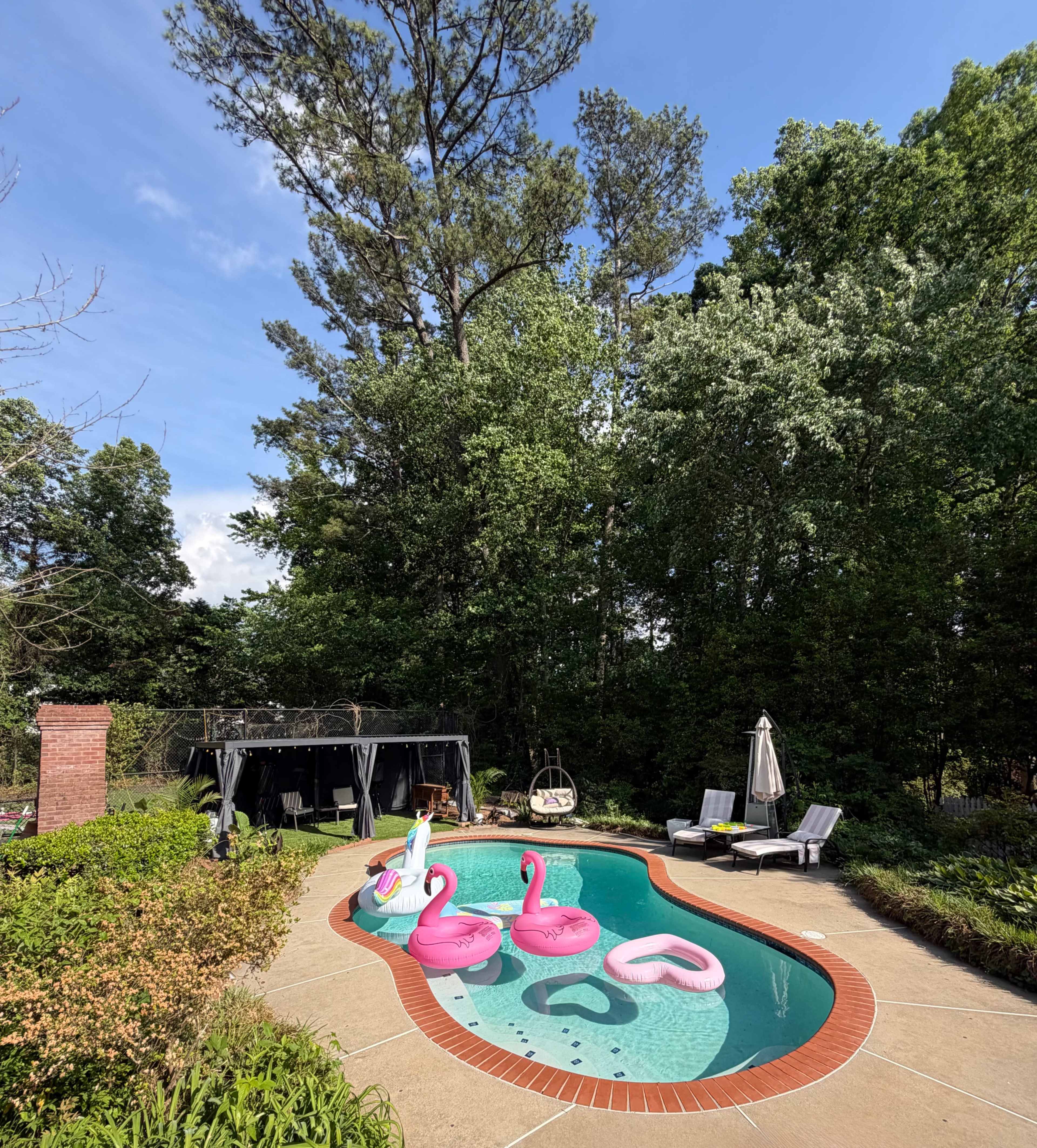 The image shows a swimming pool surrounded by greenery, featuring pink flamingo pool floats and lounge chairs nearby.
