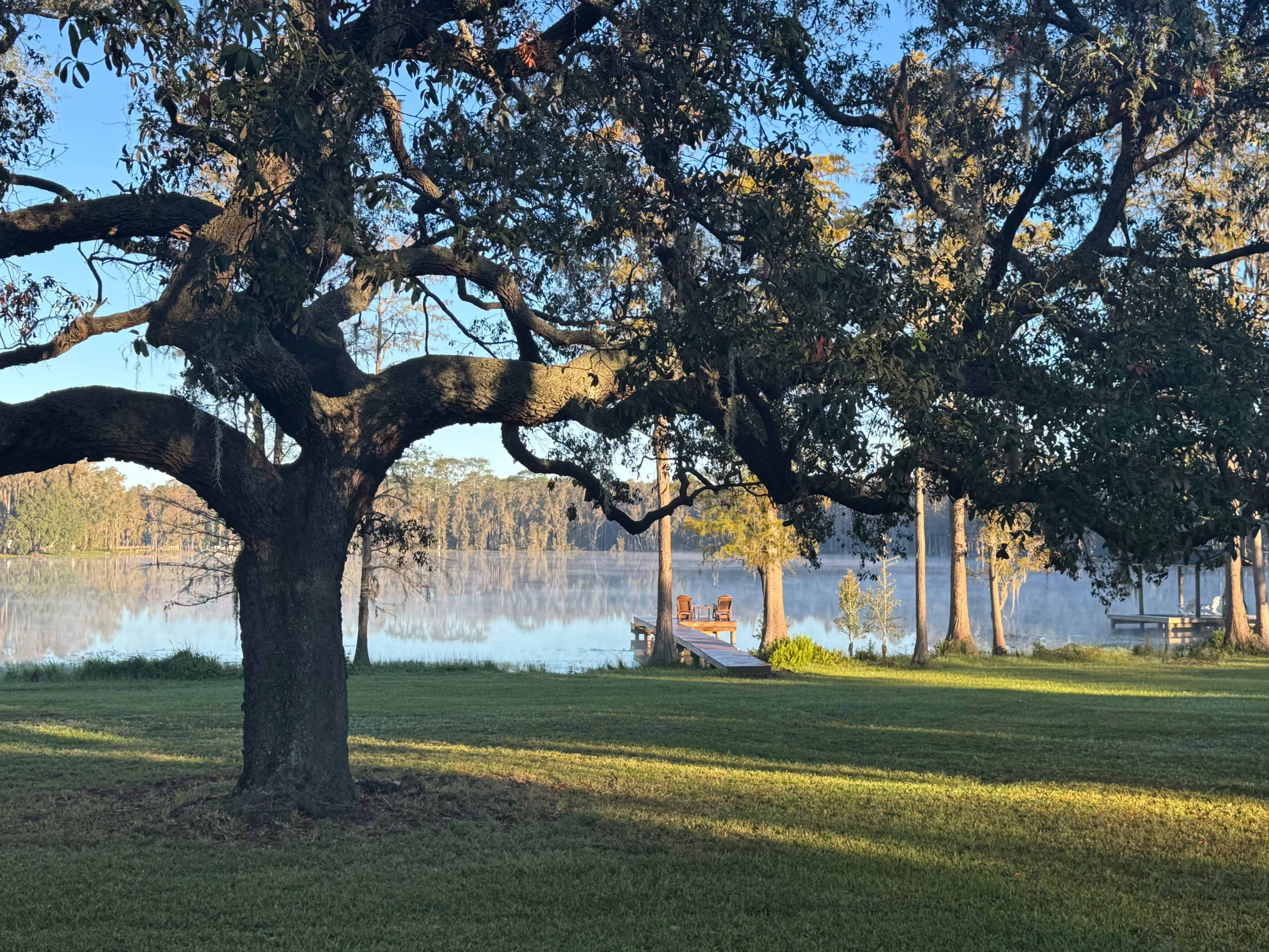 A large tree shades a grassy area near a calm lake with a wooden dock and chairs visible in the background.
