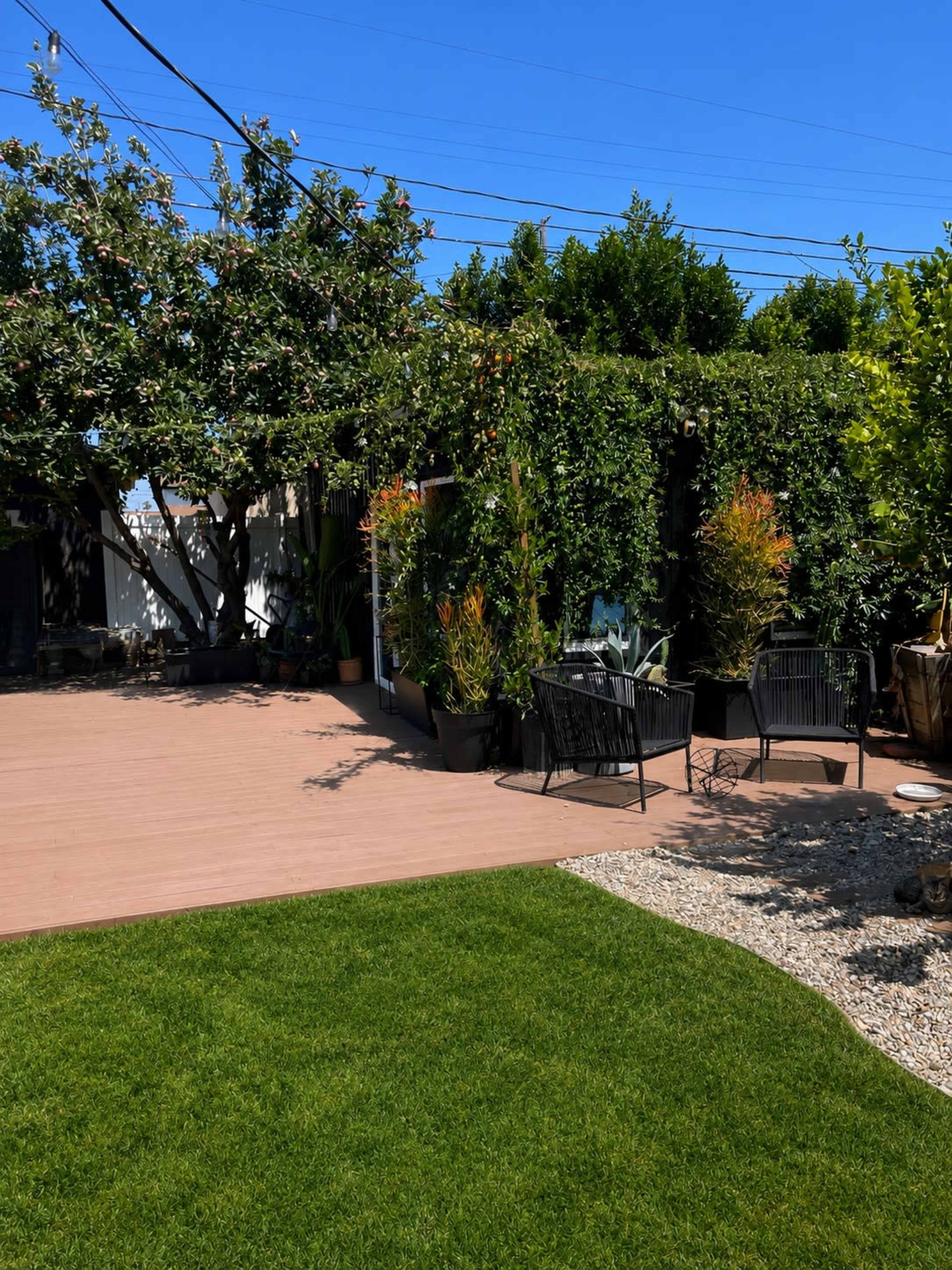 California Modern Urban Tropical Oasis with Garden and Deck in the heart of LA Image in South Los Angeles, Los Angeles, CA