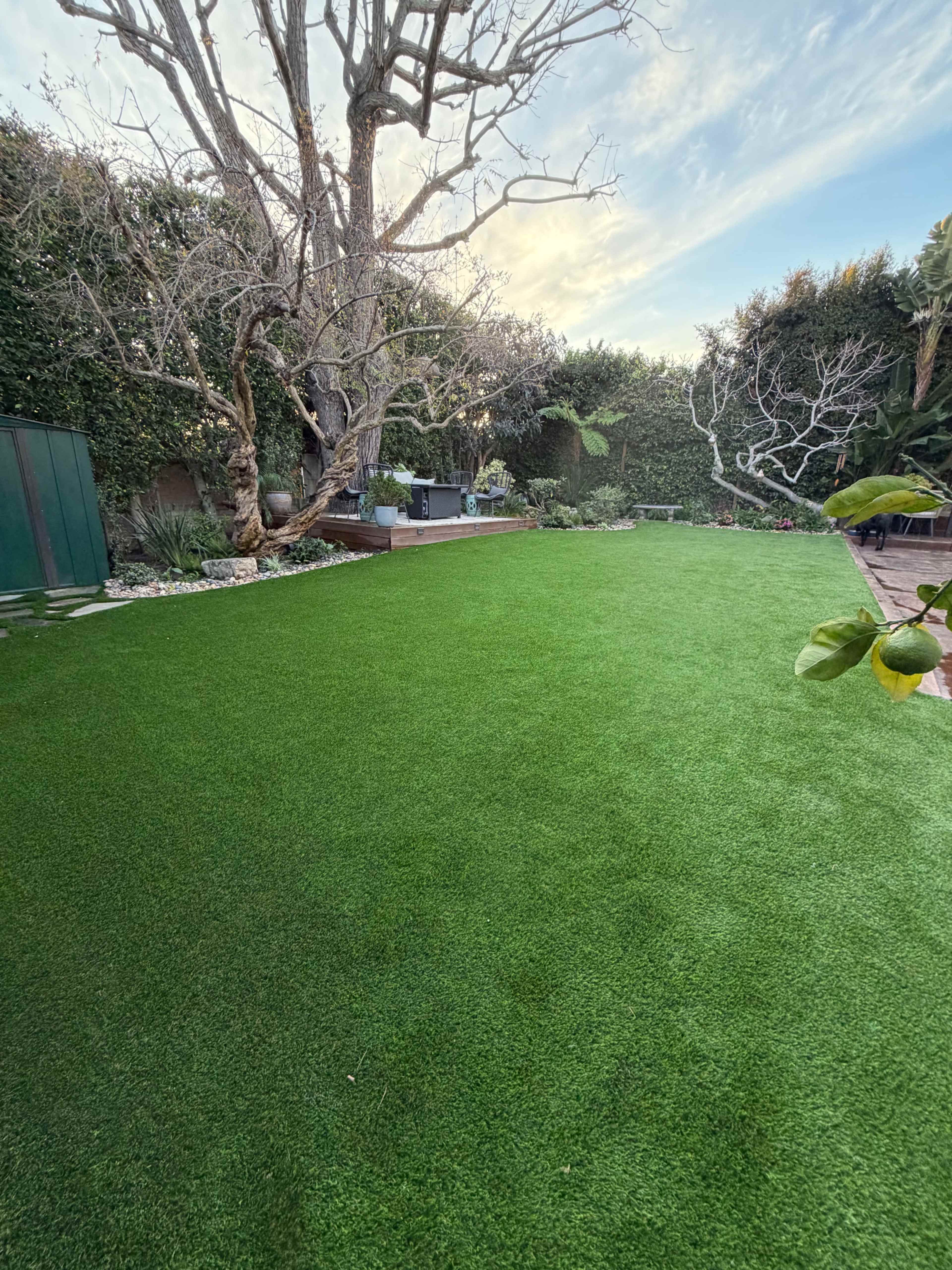 The image shows a well-maintained backyard featuring a large area of artificial turf surrounded by greenery and trees.