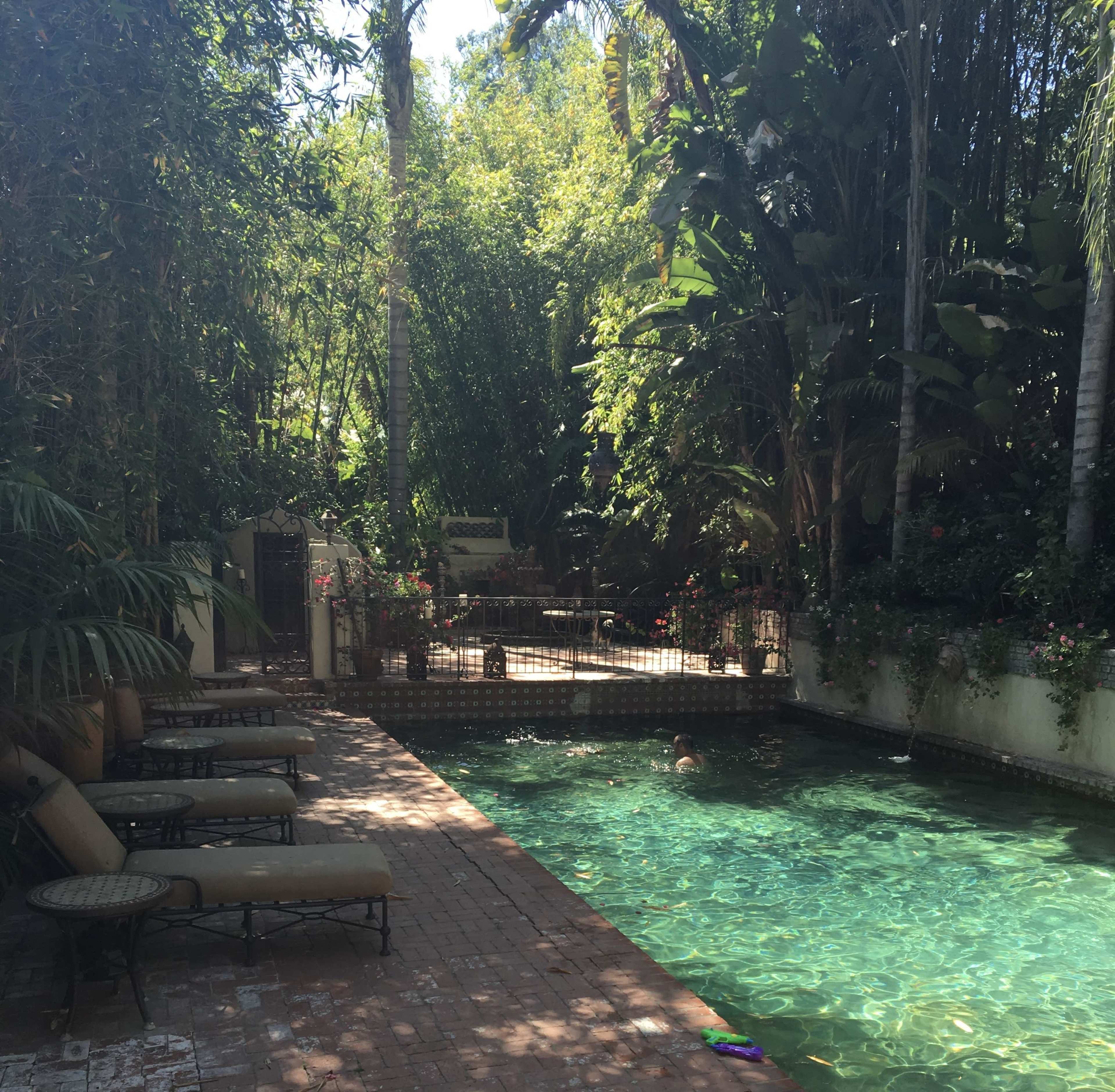 The image shows a tranquil backyard pool surrounded by lush greenery and lounge chairs.