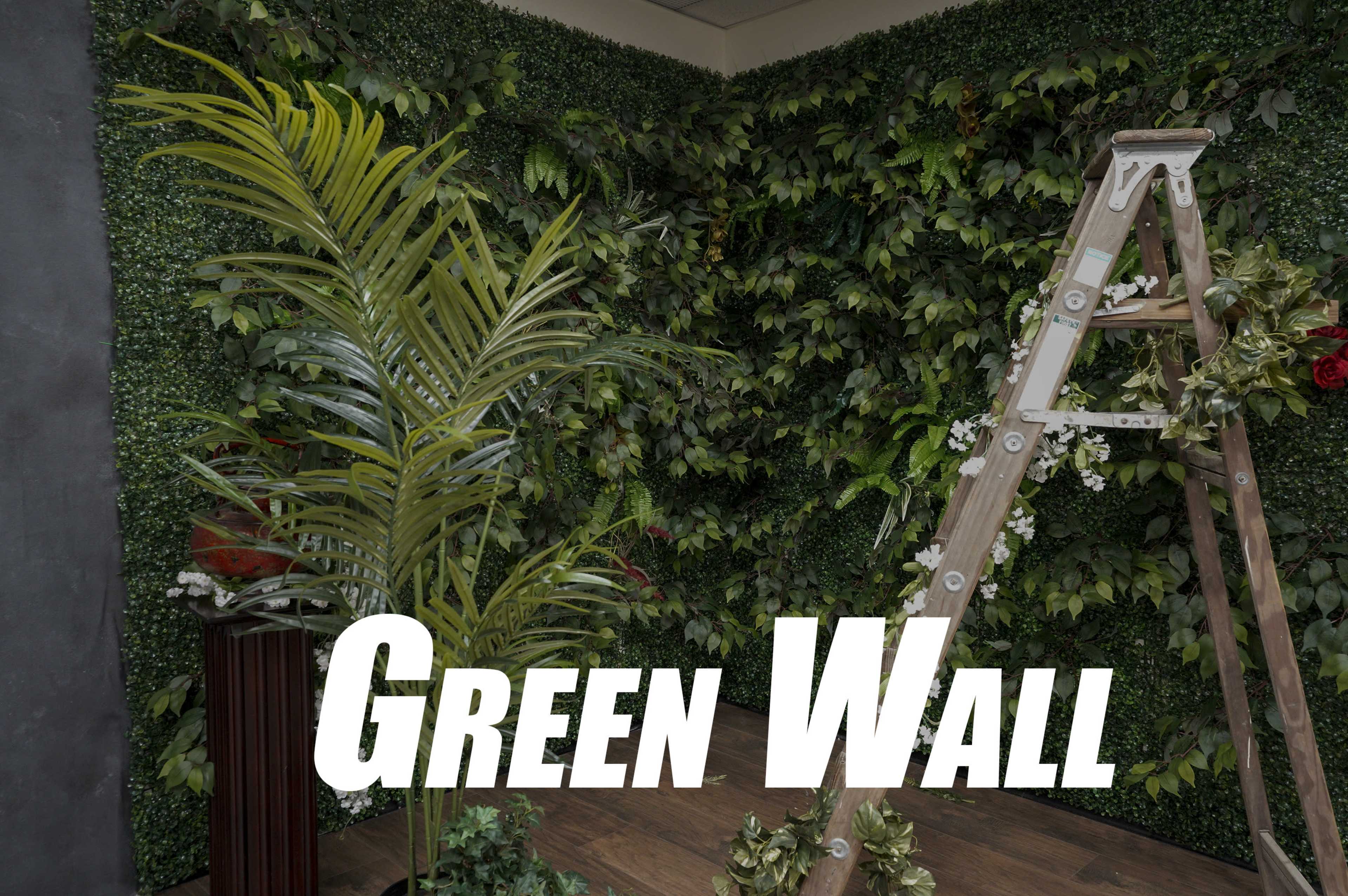 A green wall covered in various plants with a wooden ladder and a decorative plant in the foreground.