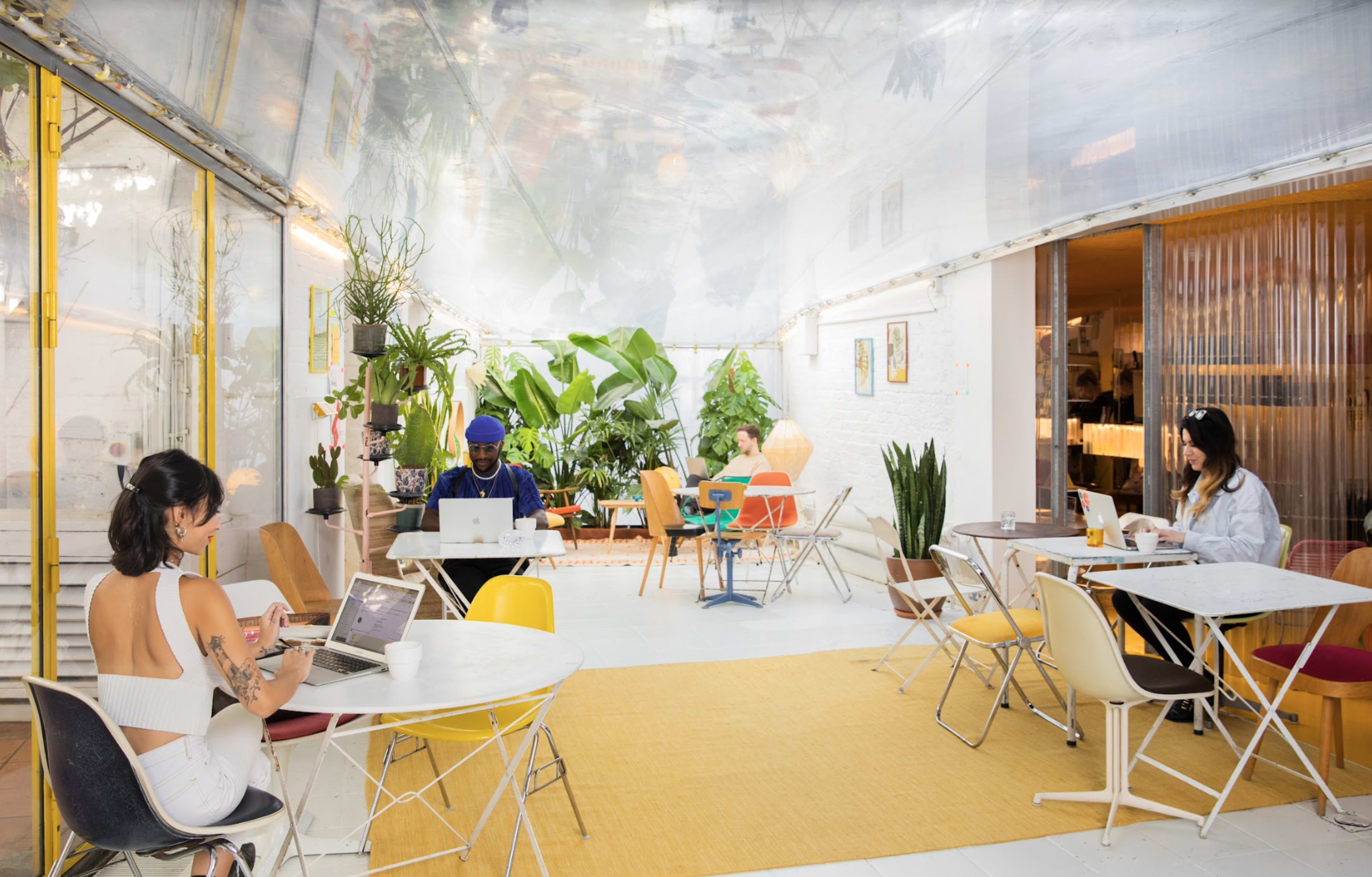 A bright, modern workspace features several people working on laptops among numerous indoor plants and colorful furniture.
