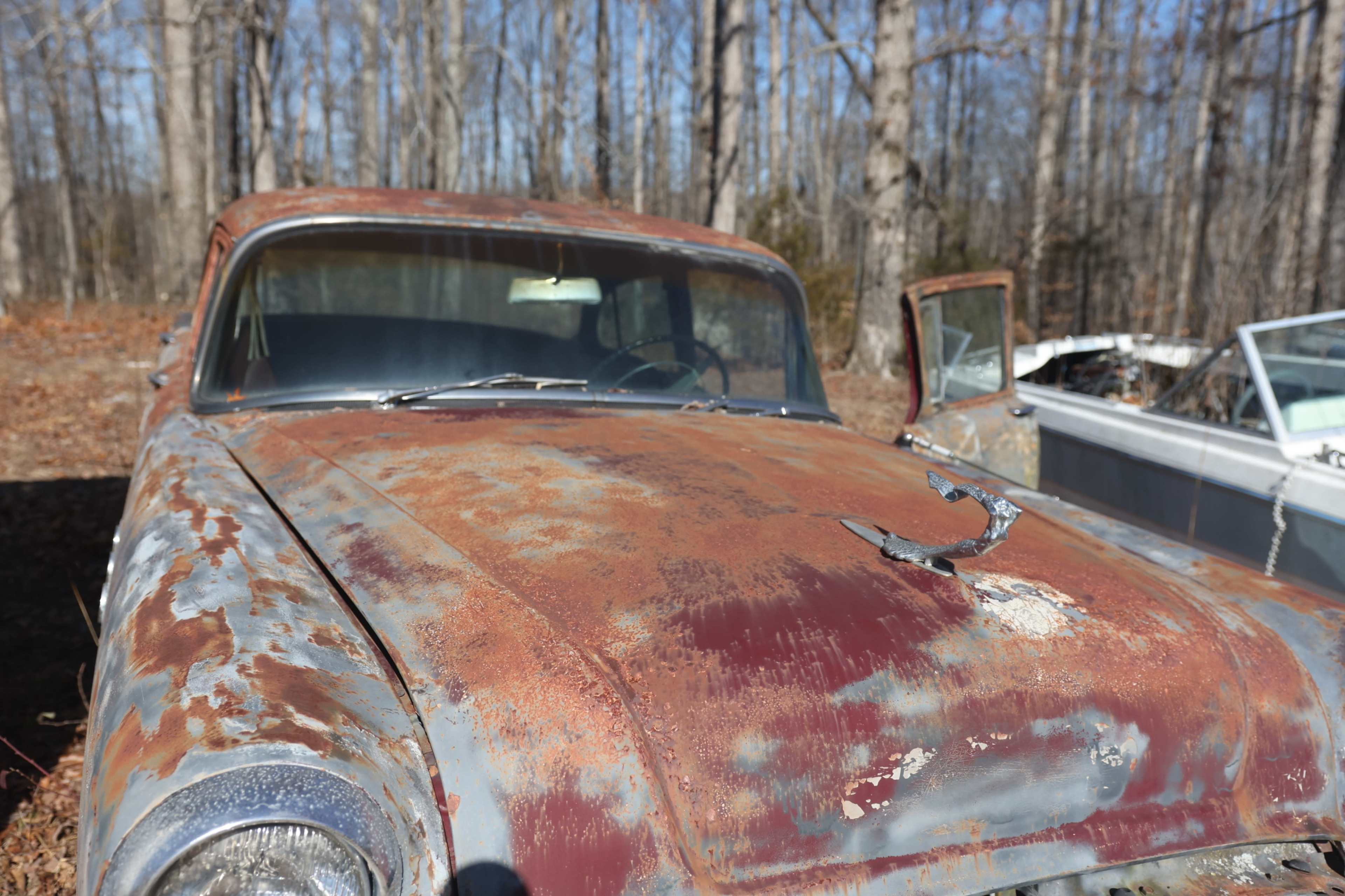 Rural Car Junkyard with Woods Image in , Fairview, TN