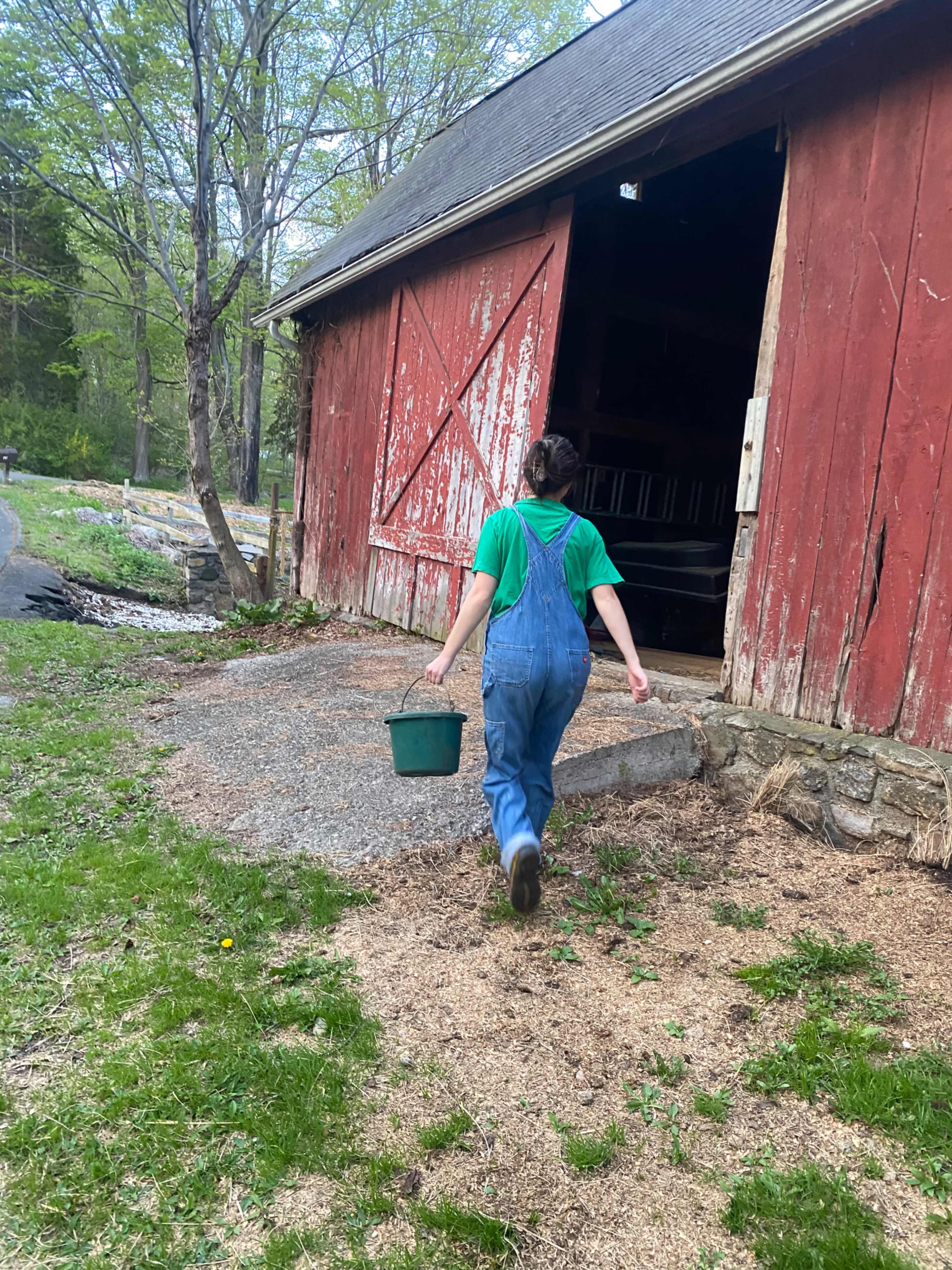 Outdoor Farm with Barn Image in New Fairfield, New Fairfield, CT