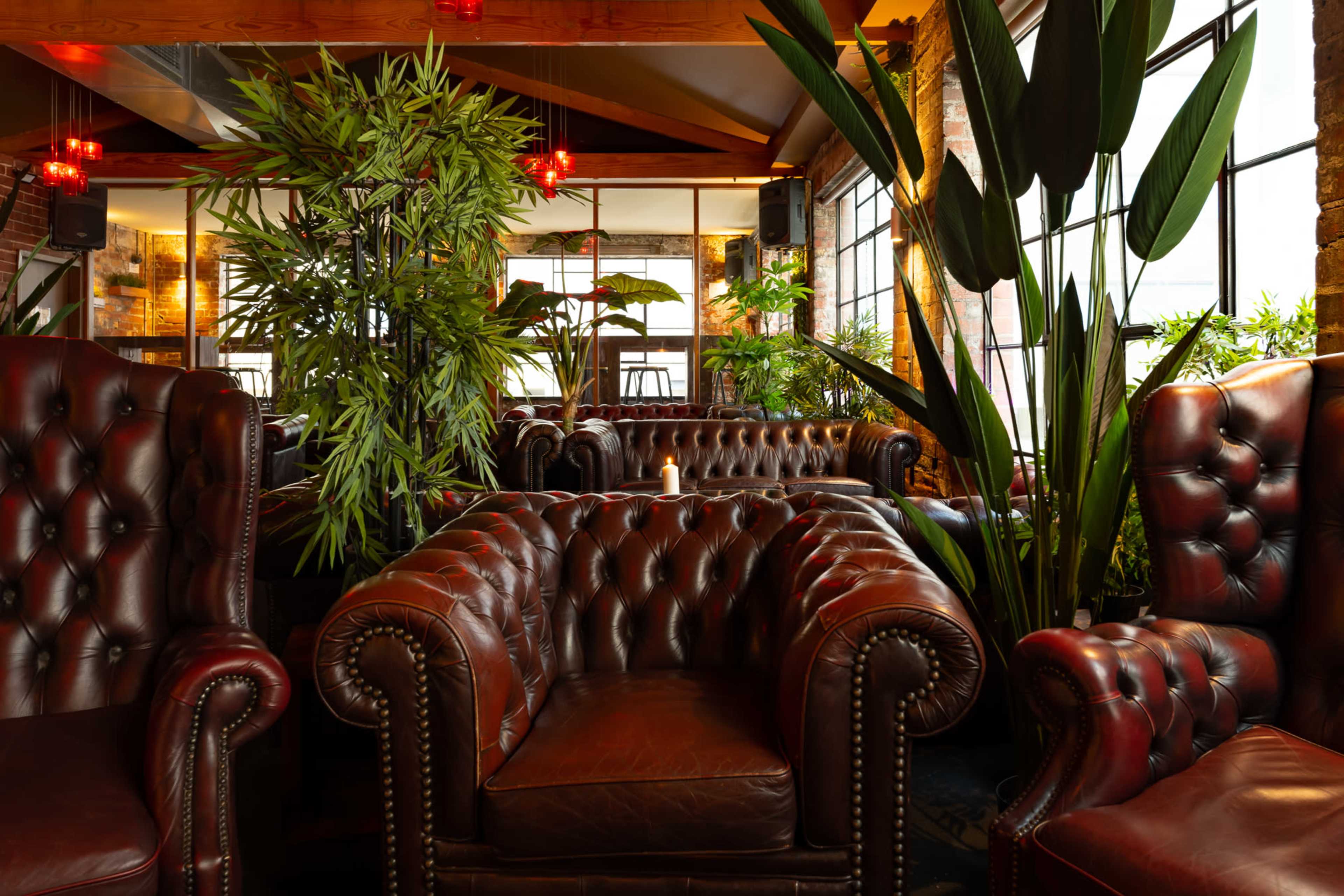 A cozy lounge area featuring leather chesterfield chairs surrounded by tall plants and large windows.