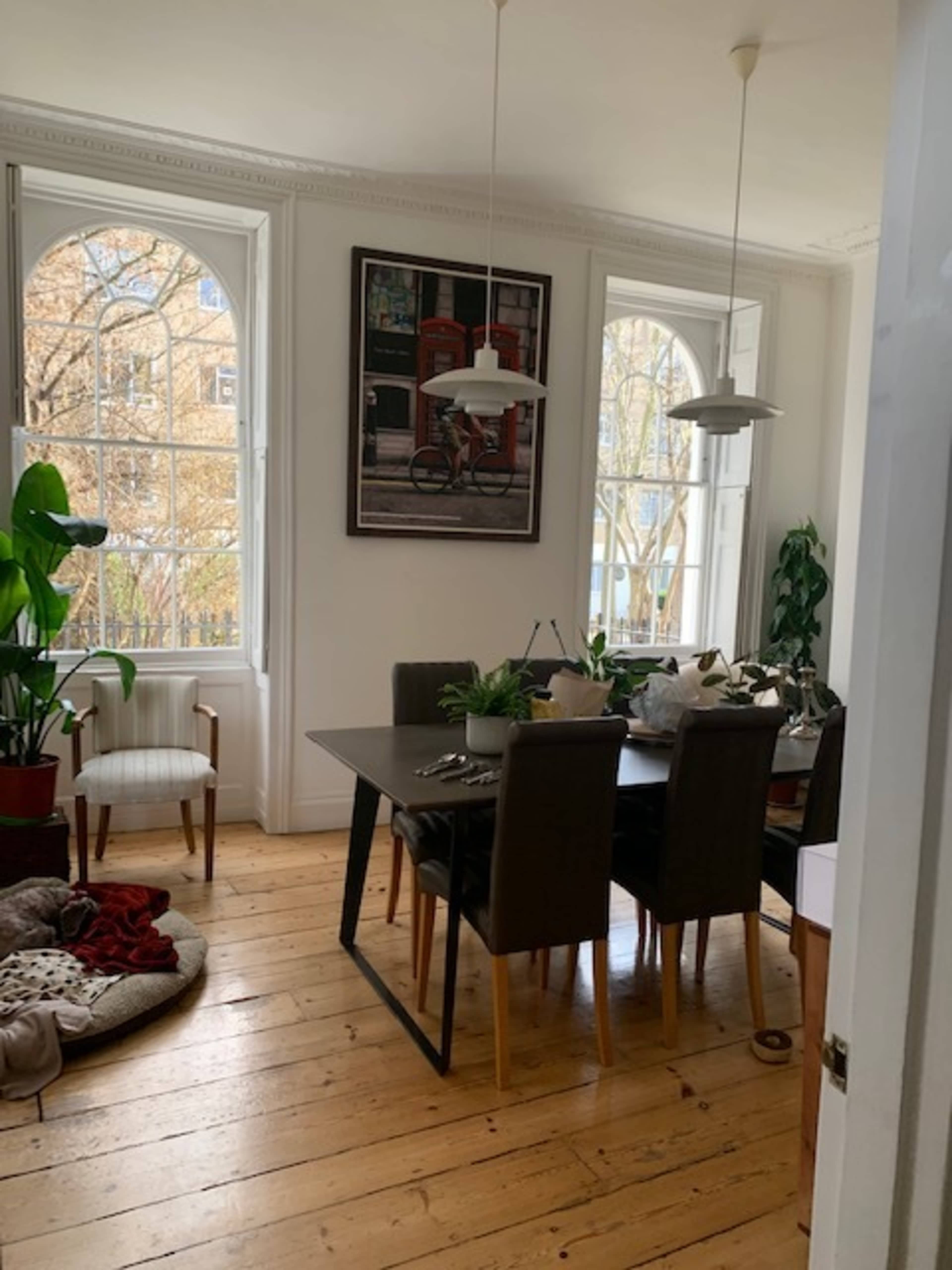 A dining area with a rectangular table surrounded by chairs, a potted plant in the corner, and large windows letting in natural light.