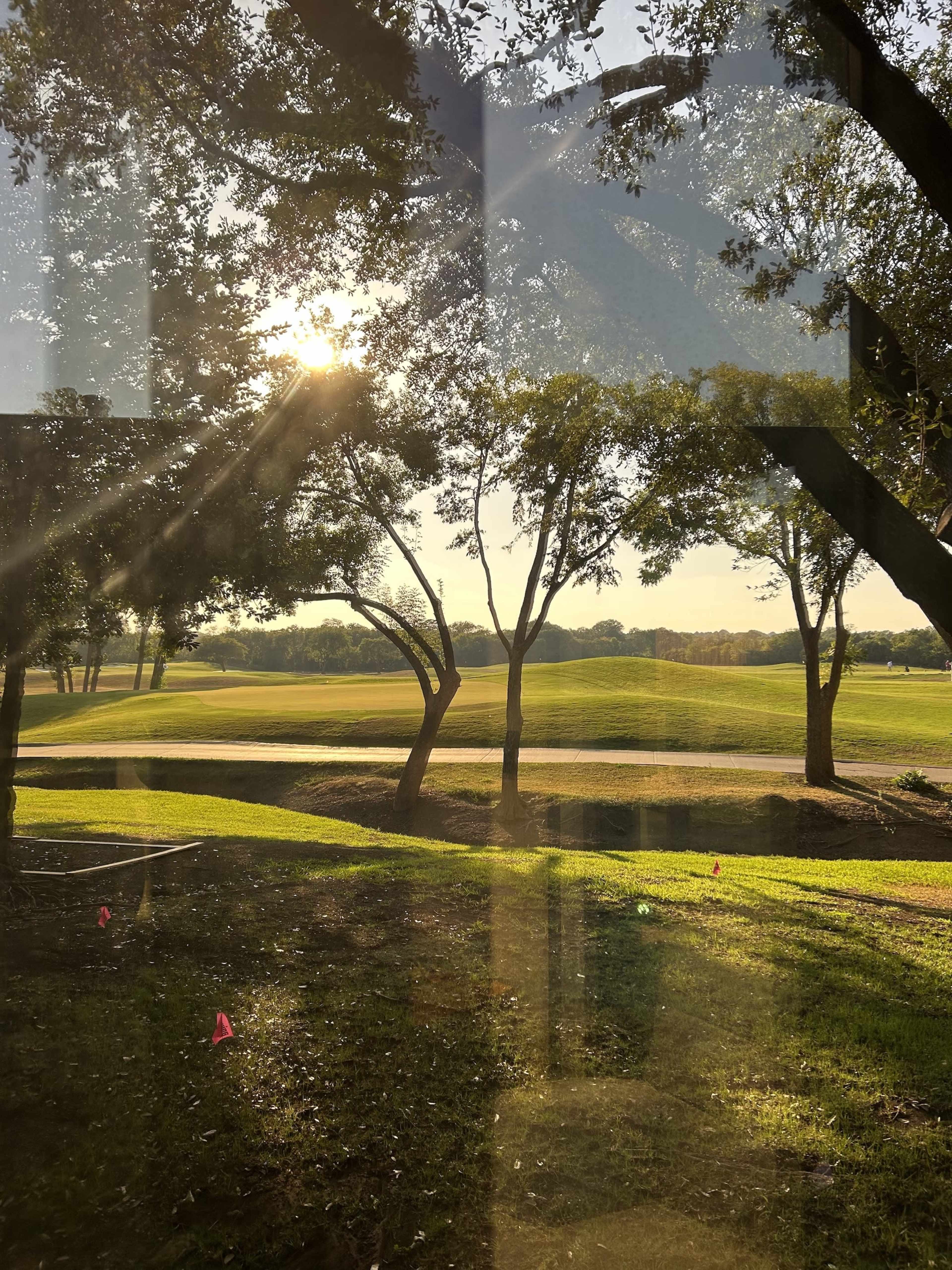 The image shows a sunny view of a golf course through a window, framed by trees on either side.