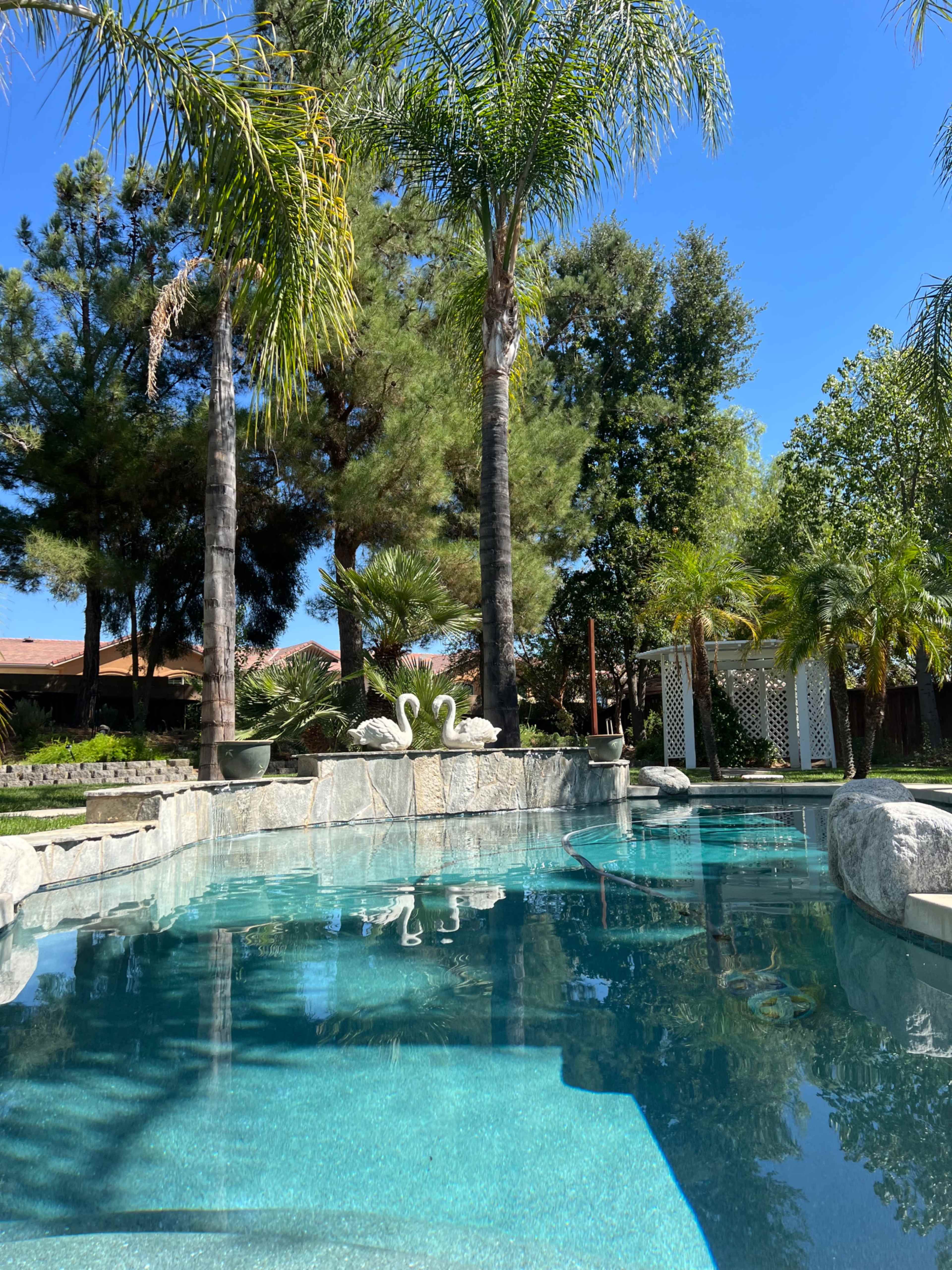 Beautiful Backyard Oasis Image in Murrieta, Murrieta, CA