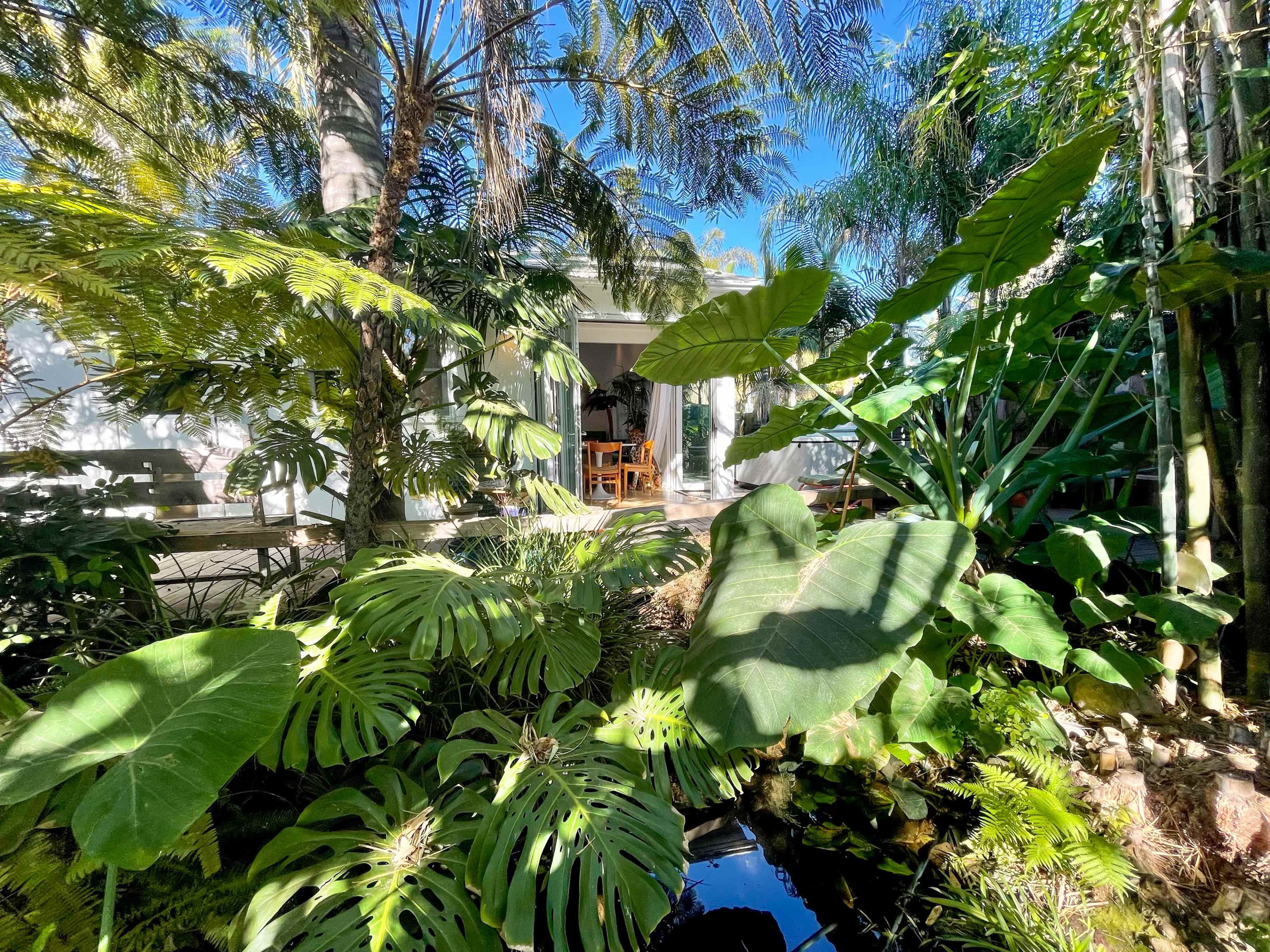 A serene outdoor scene features a lush garden with large tropical plants surrounding a small pond, leading to a patio area with a dining table visible in the background.