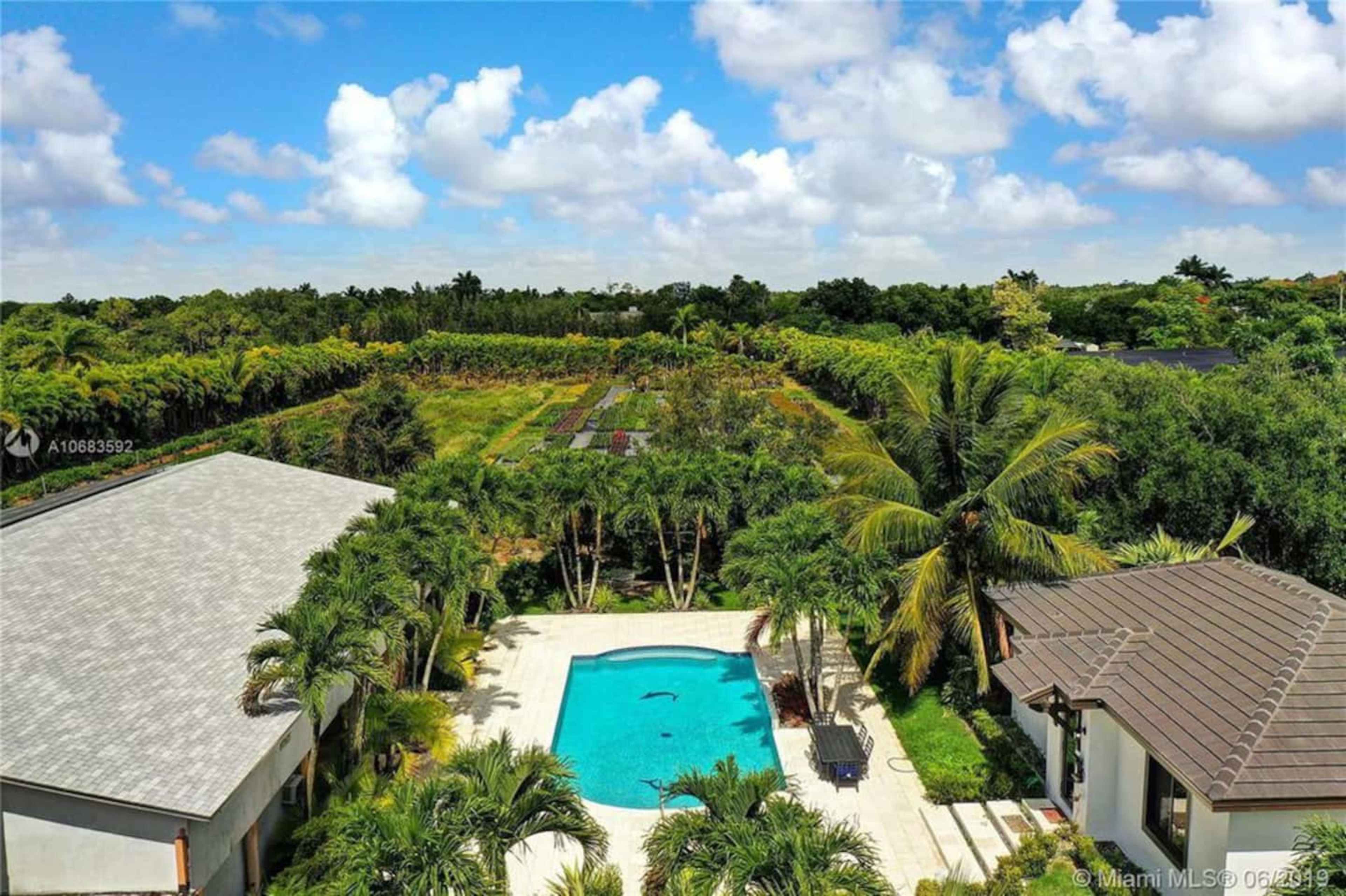 A spacious backyard with a swimming pool surrounded by palm trees, a landscaped garden, and a modern house adjacent to it.
