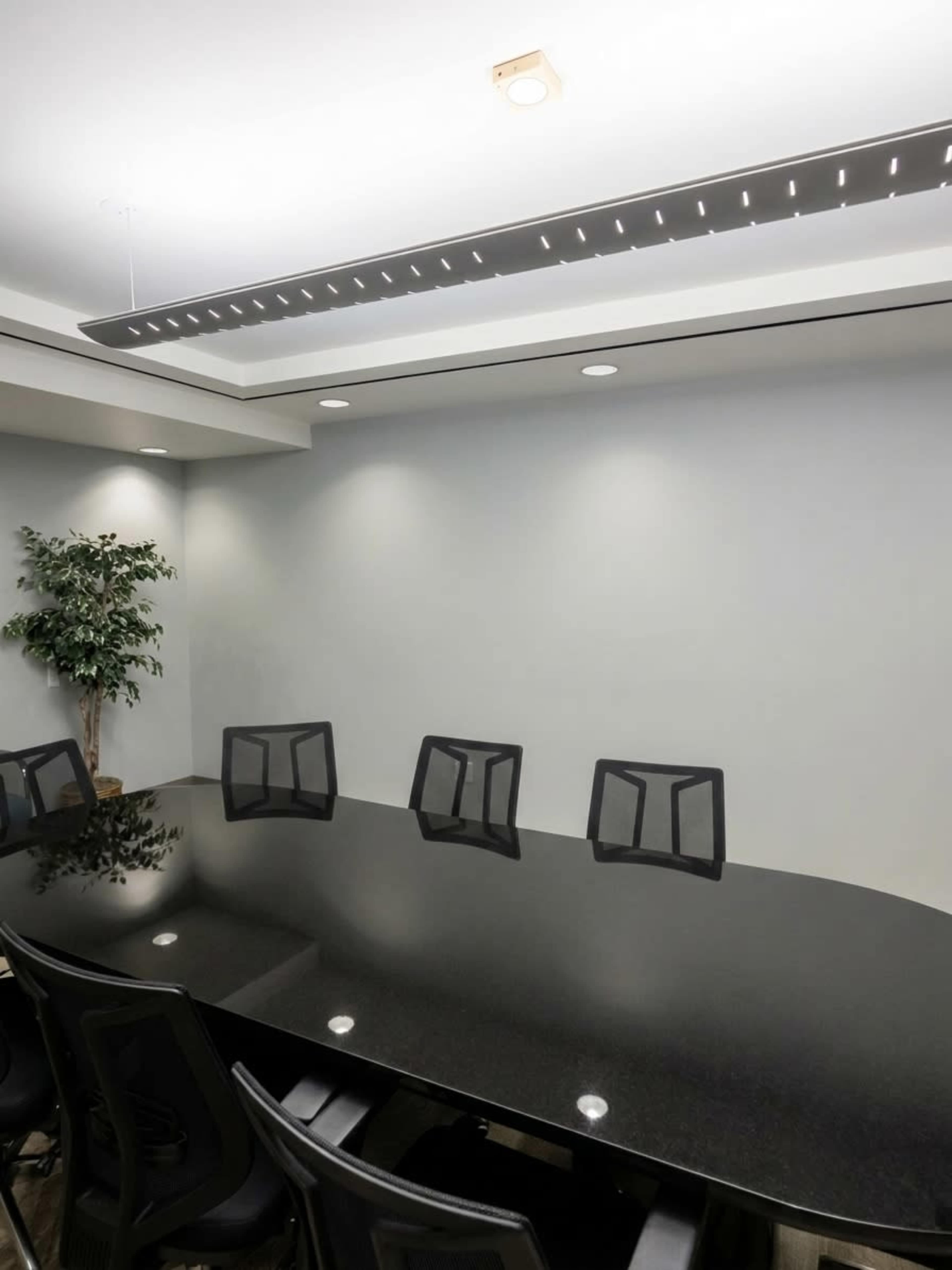 A conference room features a long black table surrounded by several chairs, with a plant and recessed lighting above.