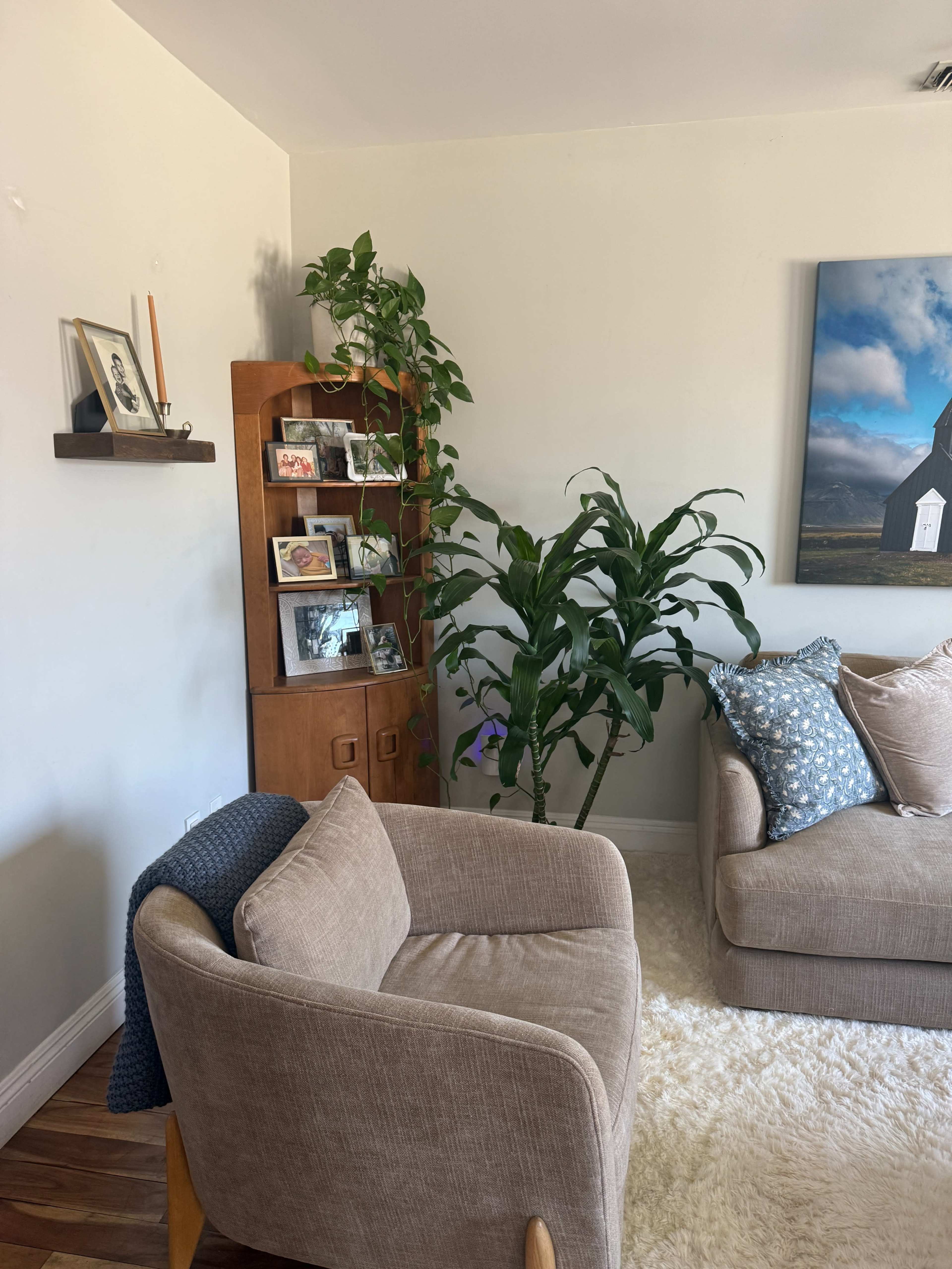 A cozy living room features a light beige armchair, a tall bookshelf filled with framed photos, and a large green plant beside a sofa adorned with patterned pillows.
