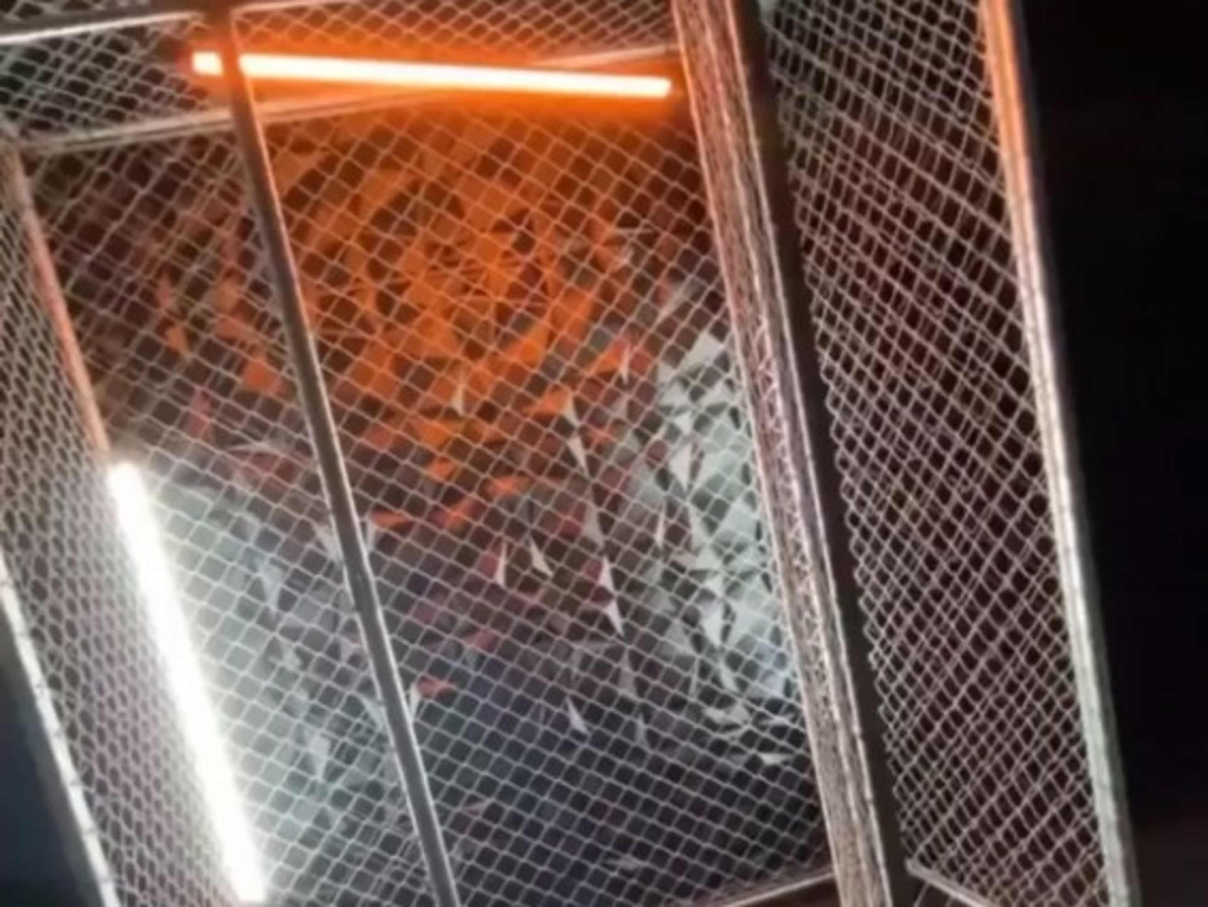 The Cage