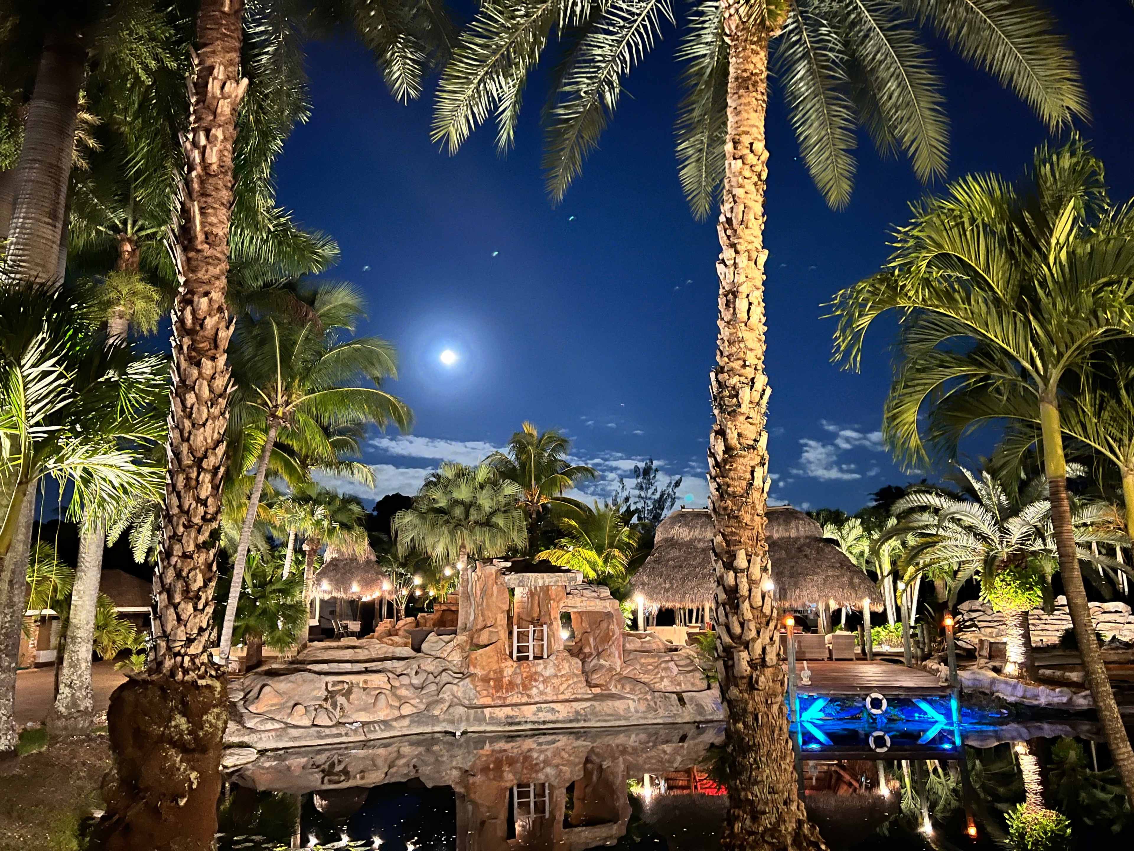 The scene depicts a tropical landscape featuring palm trees and a rock formation near a tranquil pool under a night sky illuminated by the moon.