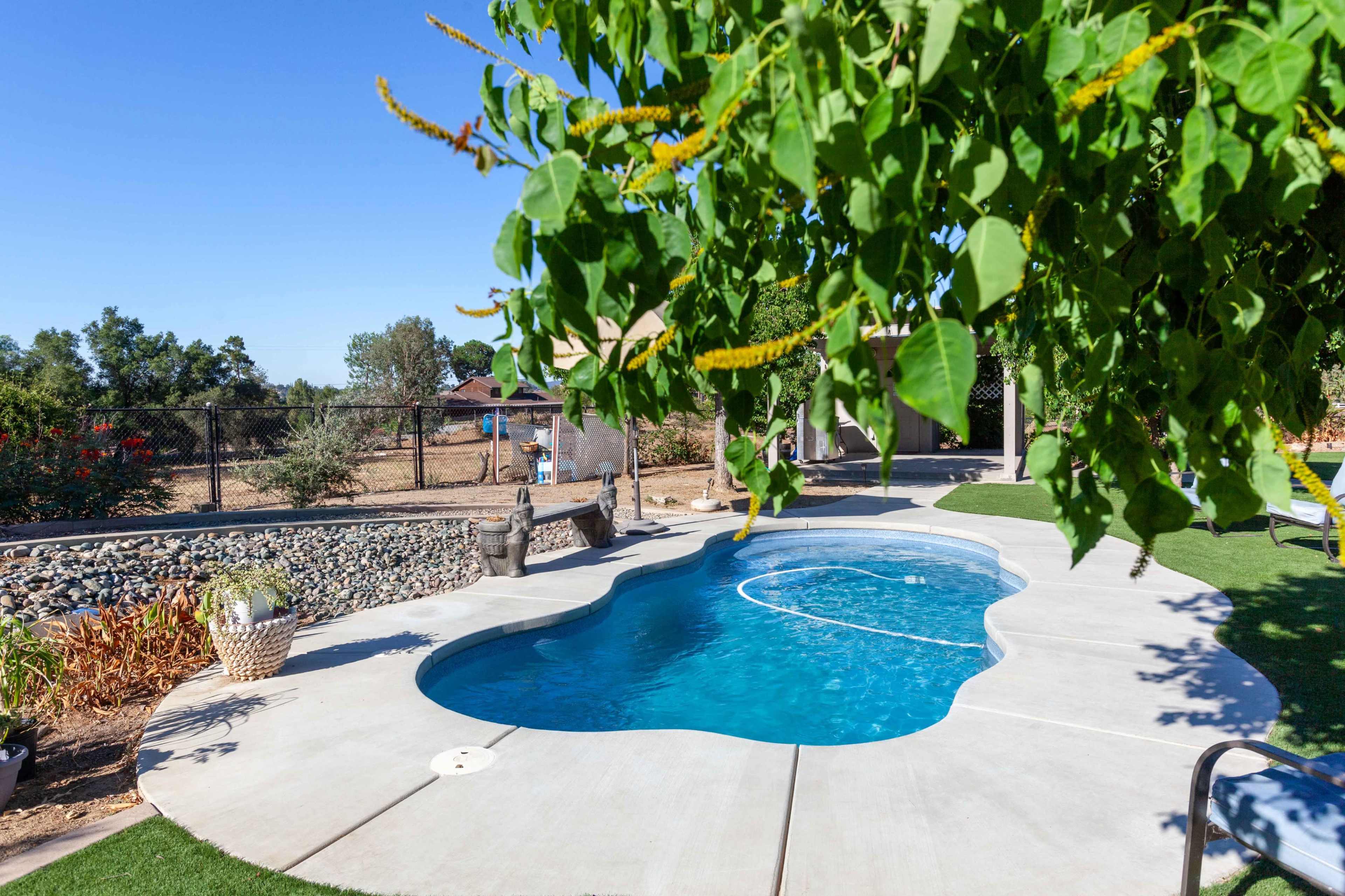 A swimming pool with a curvy shape surrounded by concrete and grass is framed by overhanging tree branches in a residential backyard.
