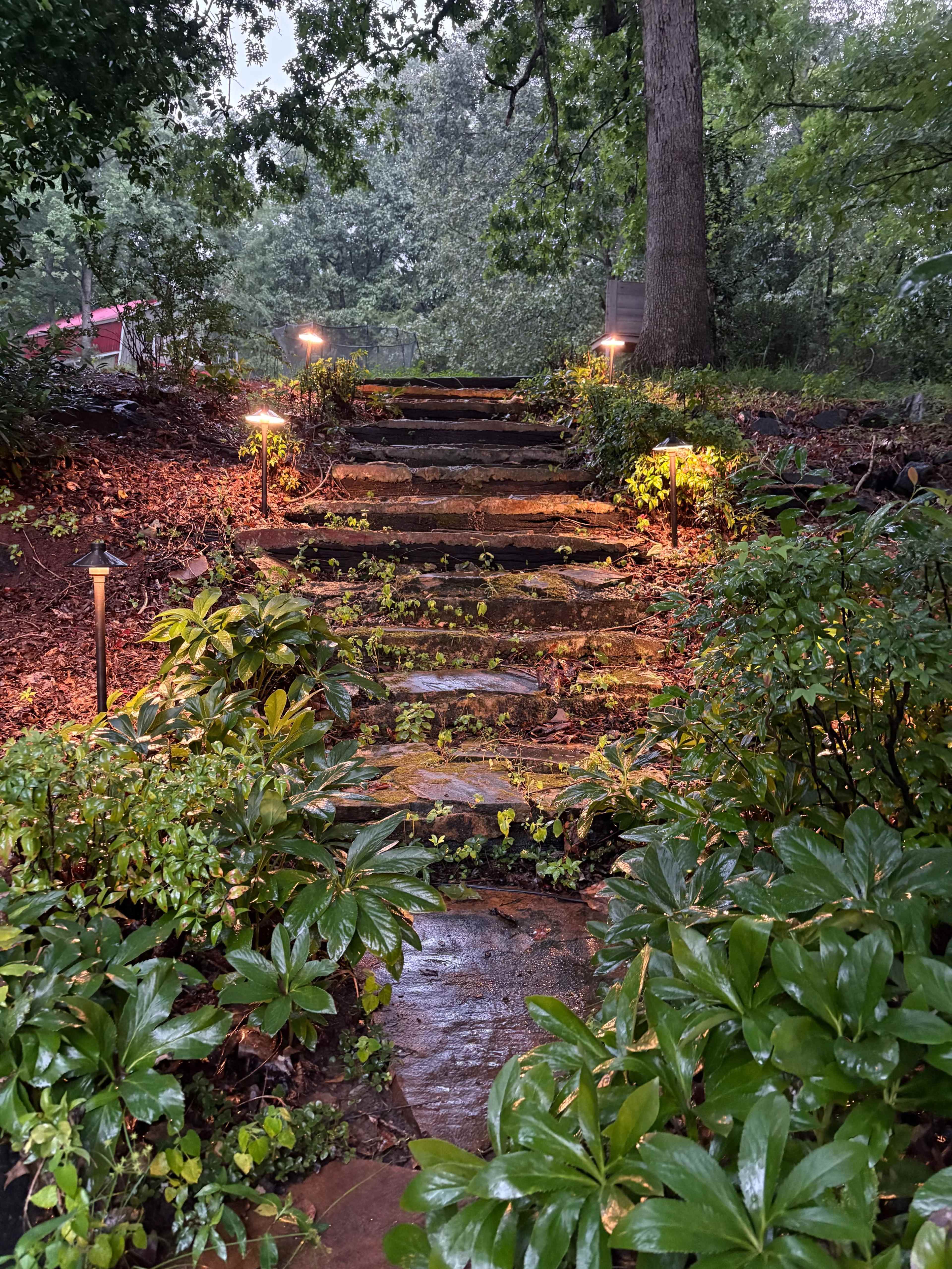 The image shows a stone pathway illuminated by outdoor lights, bordered by lush greenery and surrounded by trees.