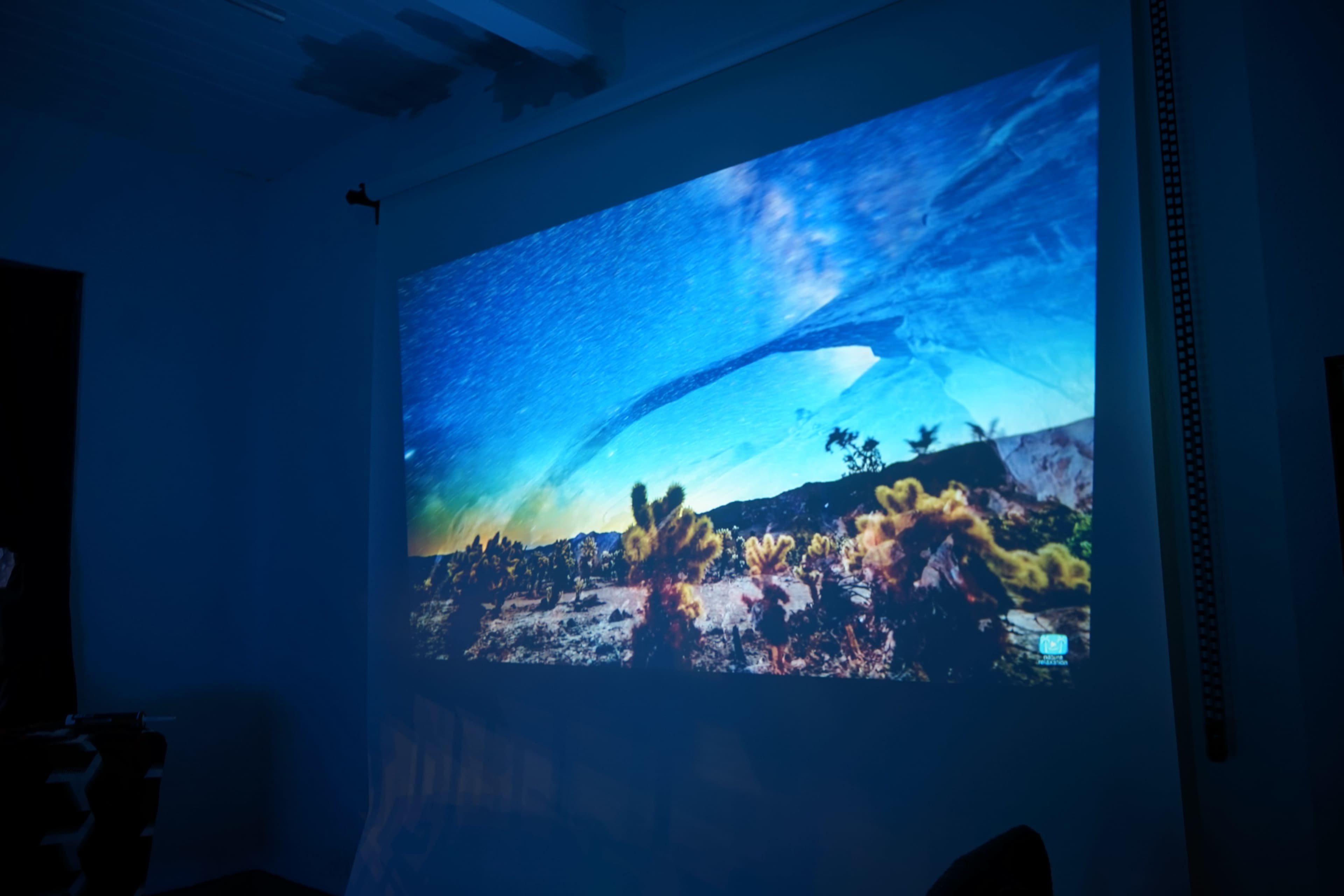 A large projector screen displays a vibrant landscape with a starry sky over a desert scene filled with cacti and vegetation.