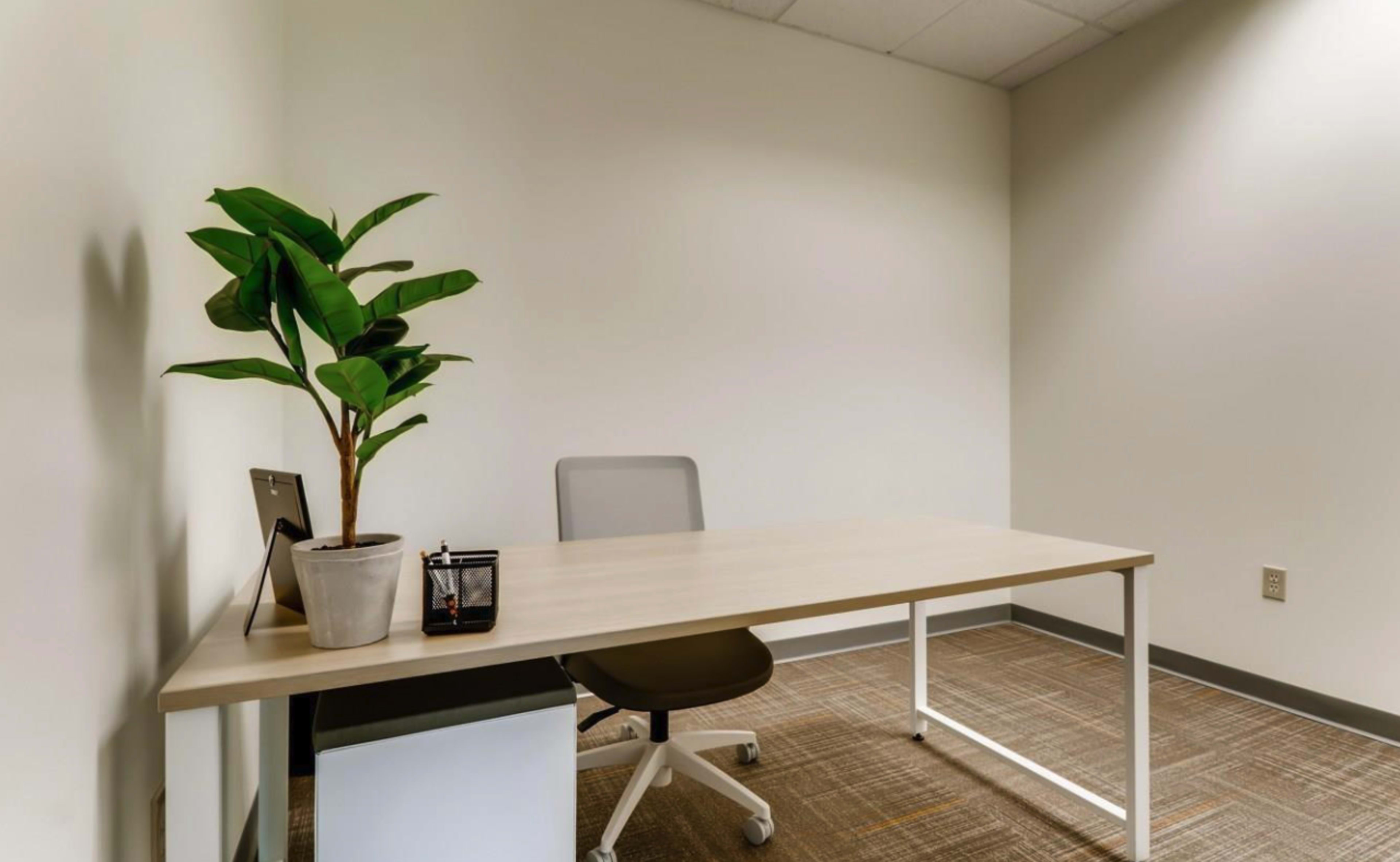 The image shows a minimalist office space with a desk, an office chair, a potted plant, and a small storage unit.