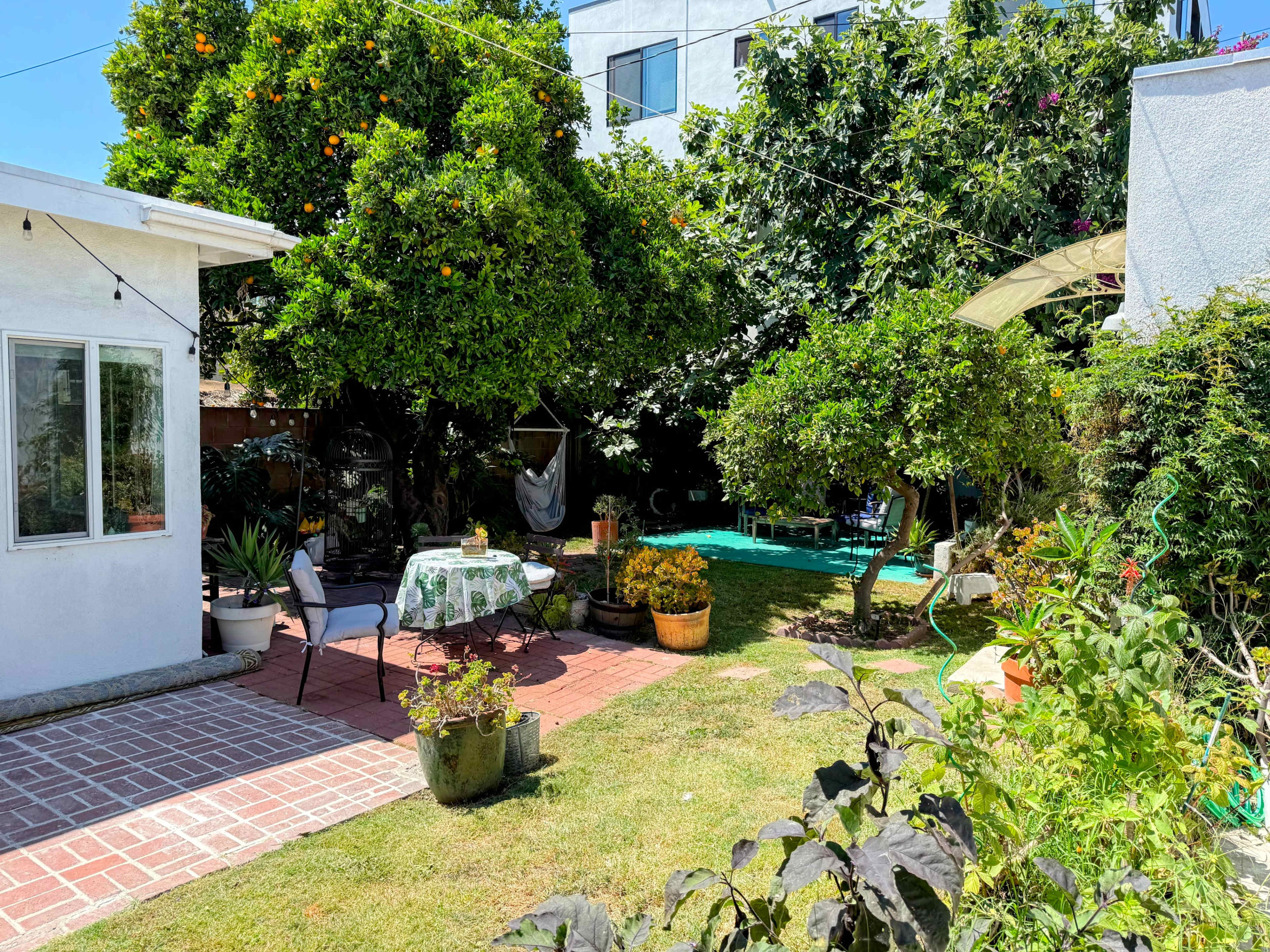 Zen Backyard filled with plants and fruit trees near DTLA Image in Jefferson Park, Los Angeles, CA