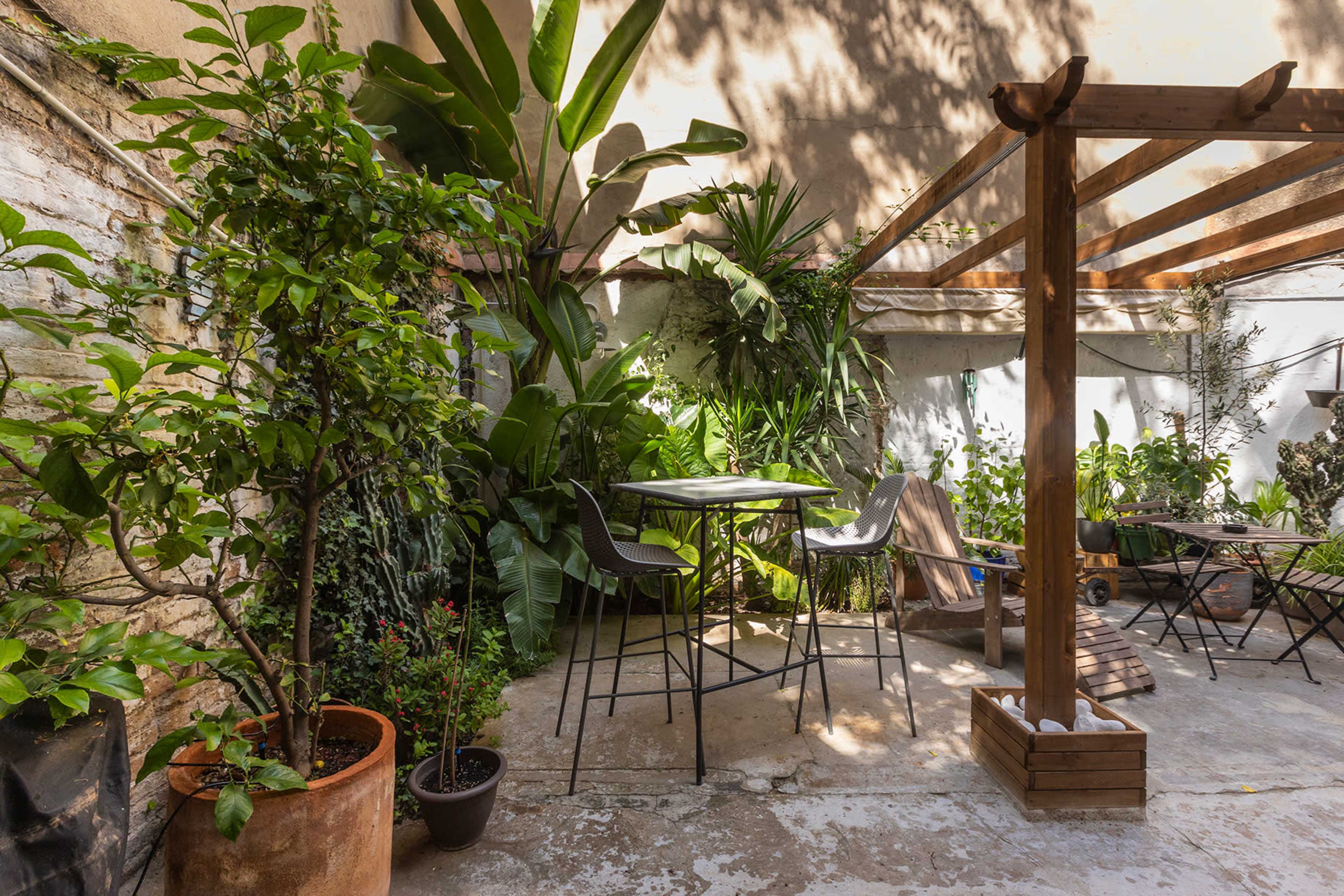 The image shows a small outdoor garden area with wooden seating under a pergola surrounded by various plants.