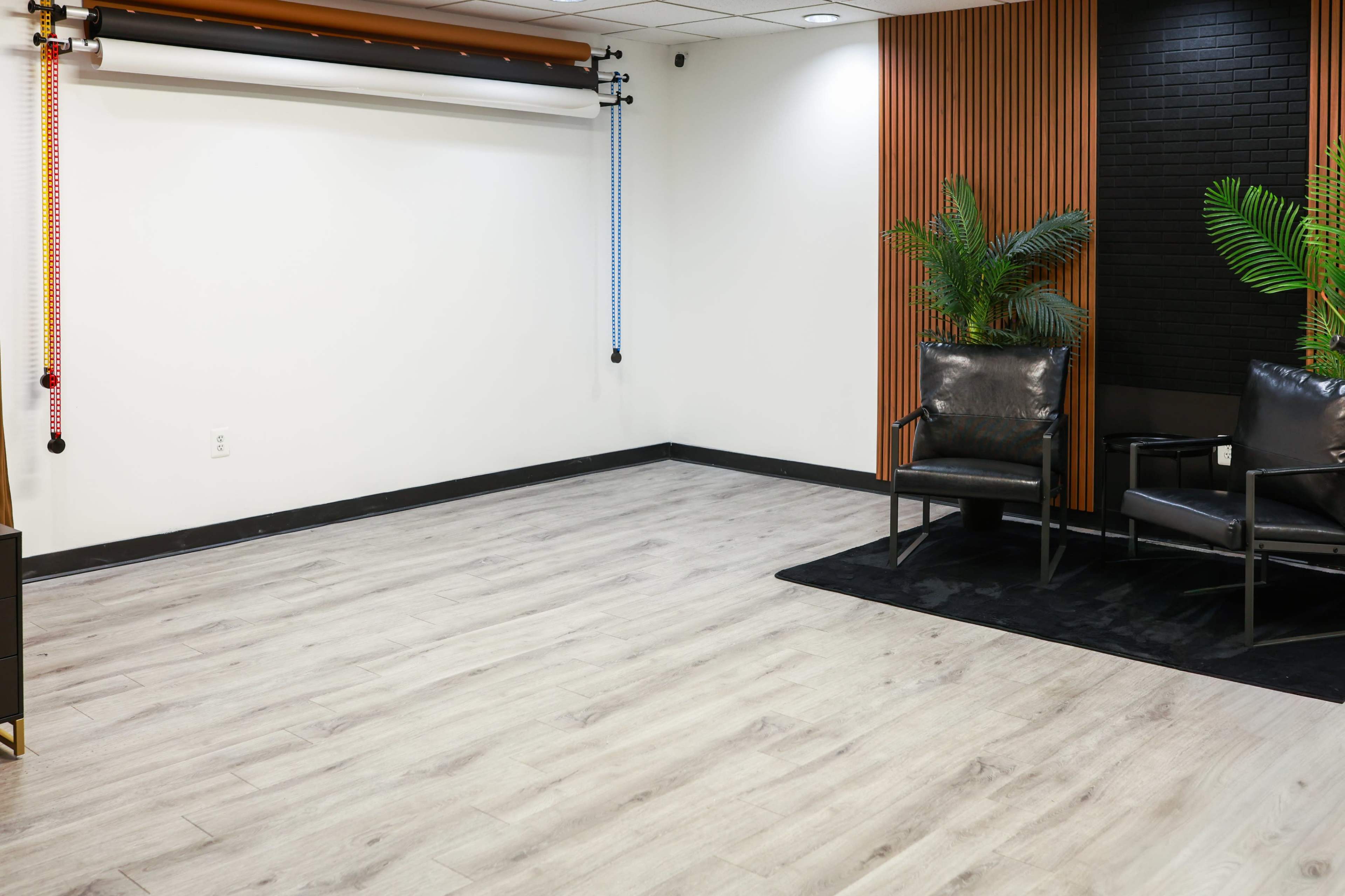 The image shows a minimalistic indoor space with light wooden flooring, two black chairs, and decorative plants against a stark white wall, with a backdrop setup on the left side.