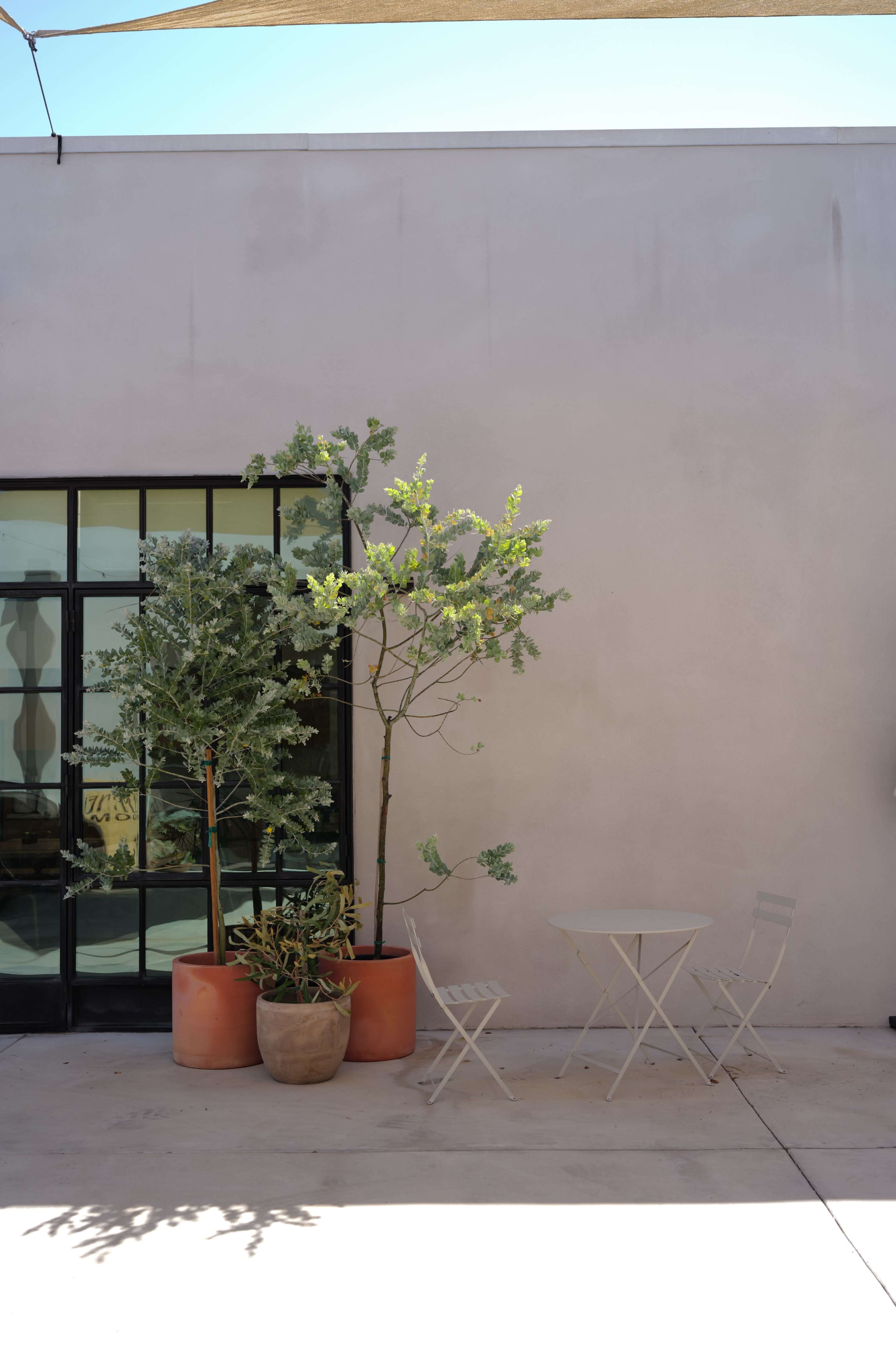 The image shows a simple outdoor space featuring two potted trees and a small table with chairs positioned against a light-colored wall.