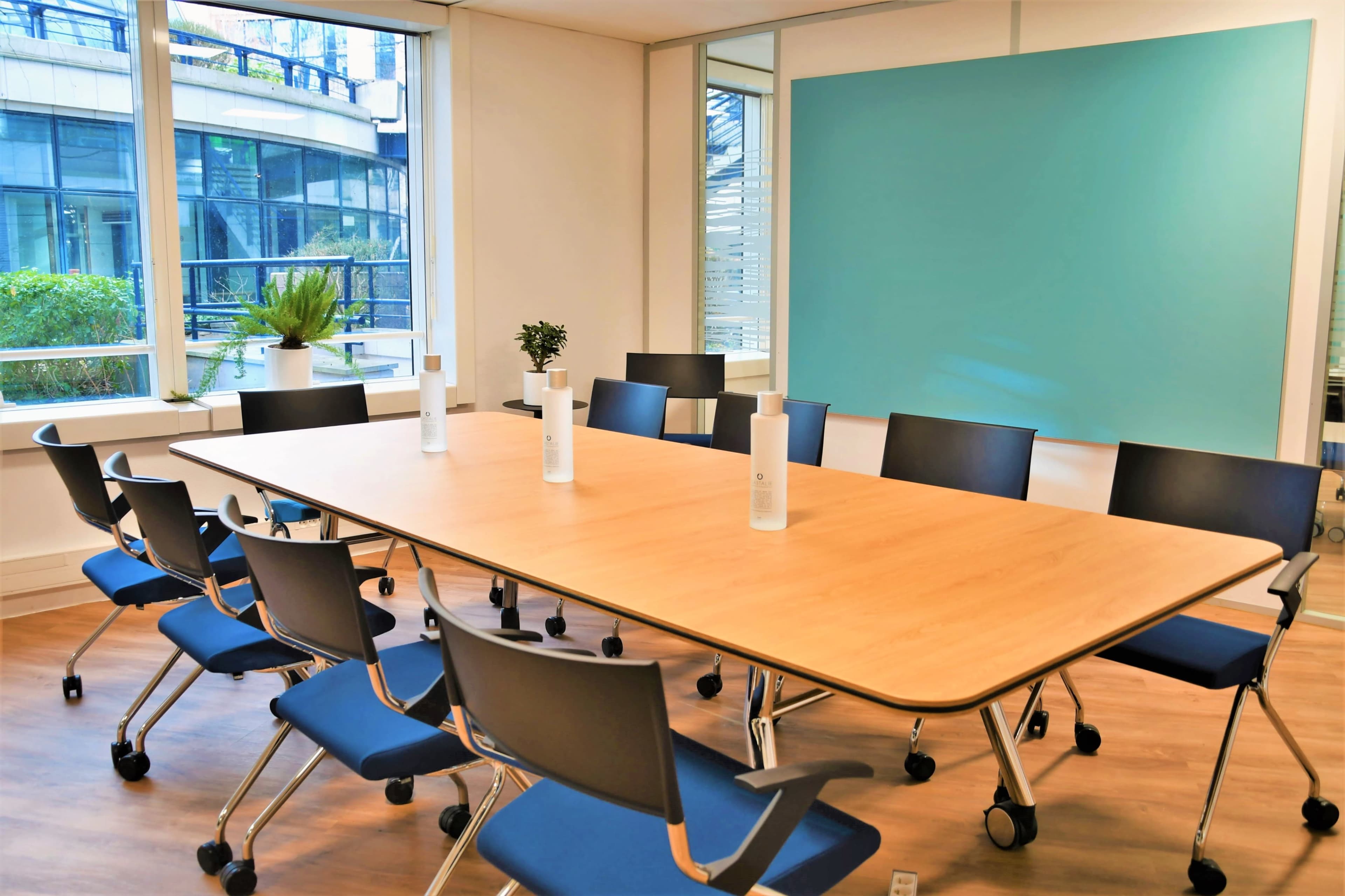 A conference room features a large wooden table surrounded by black rolling chairs, with a light blue wall and windows that overlook greenery outside.