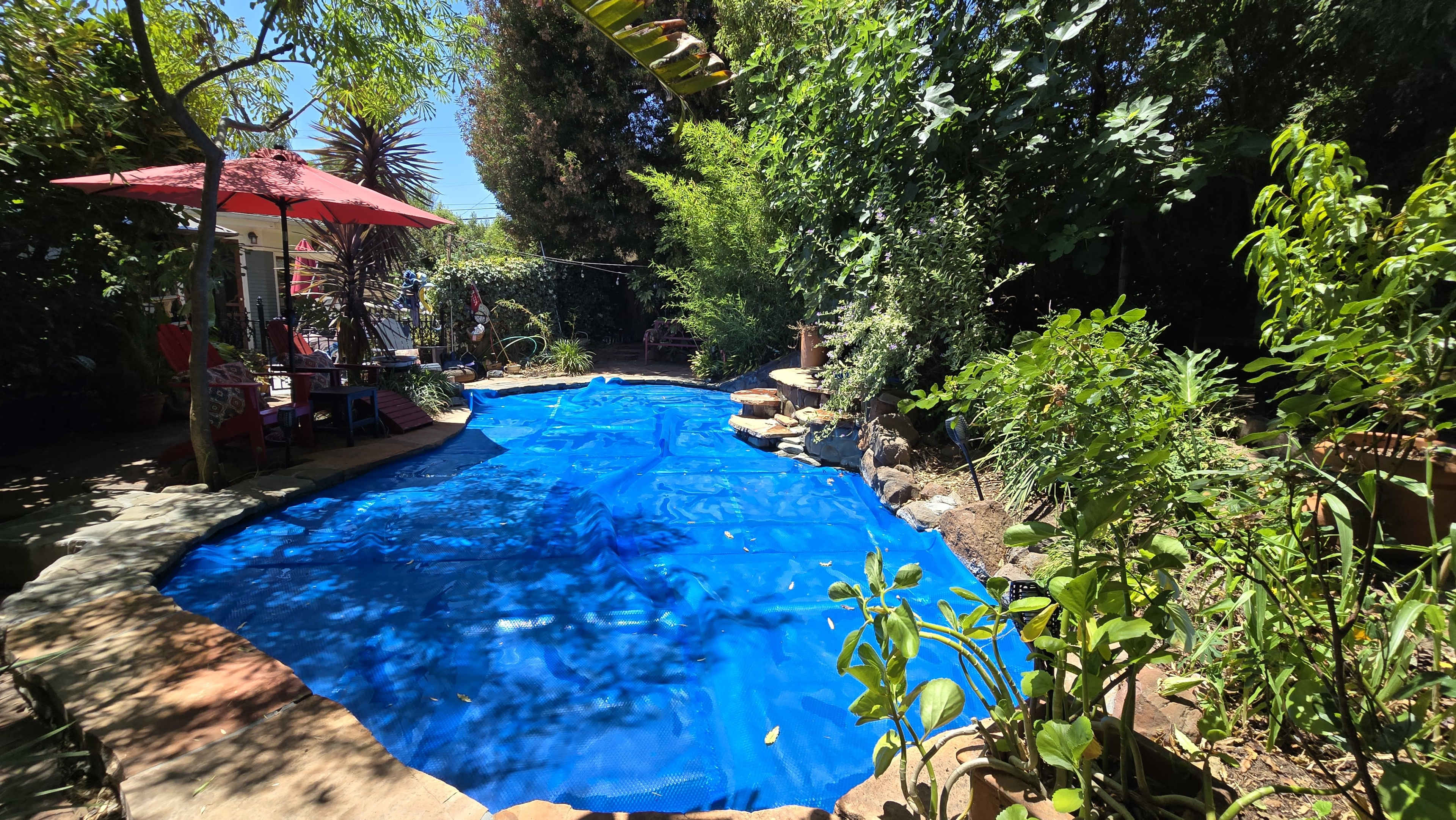 A swimming pool covered with a blue tarp is surrounded by lush greenery and garden features.