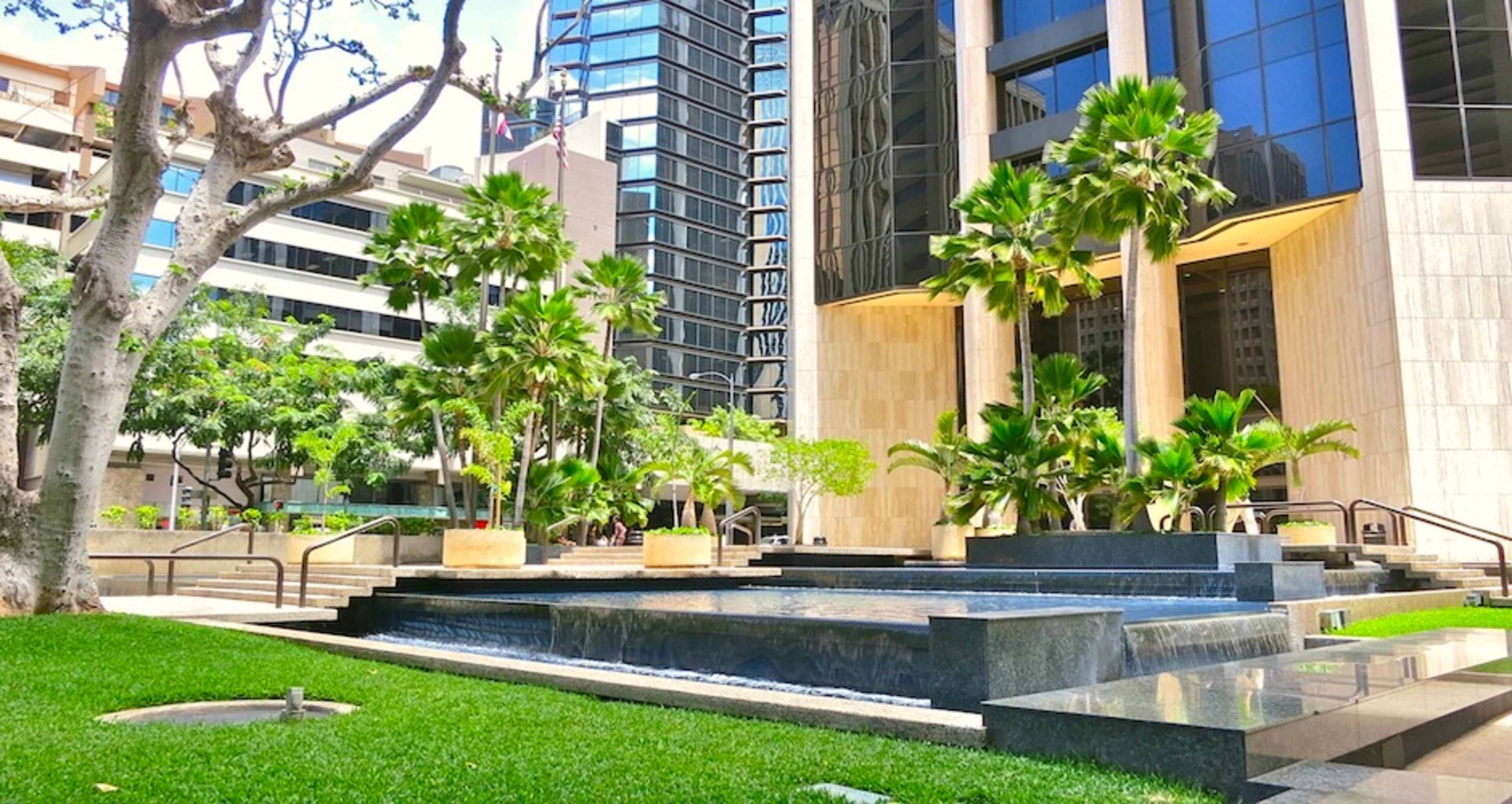 A modern urban plaza featuring palm trees, a water feature, and surrounding high-rise buildings.