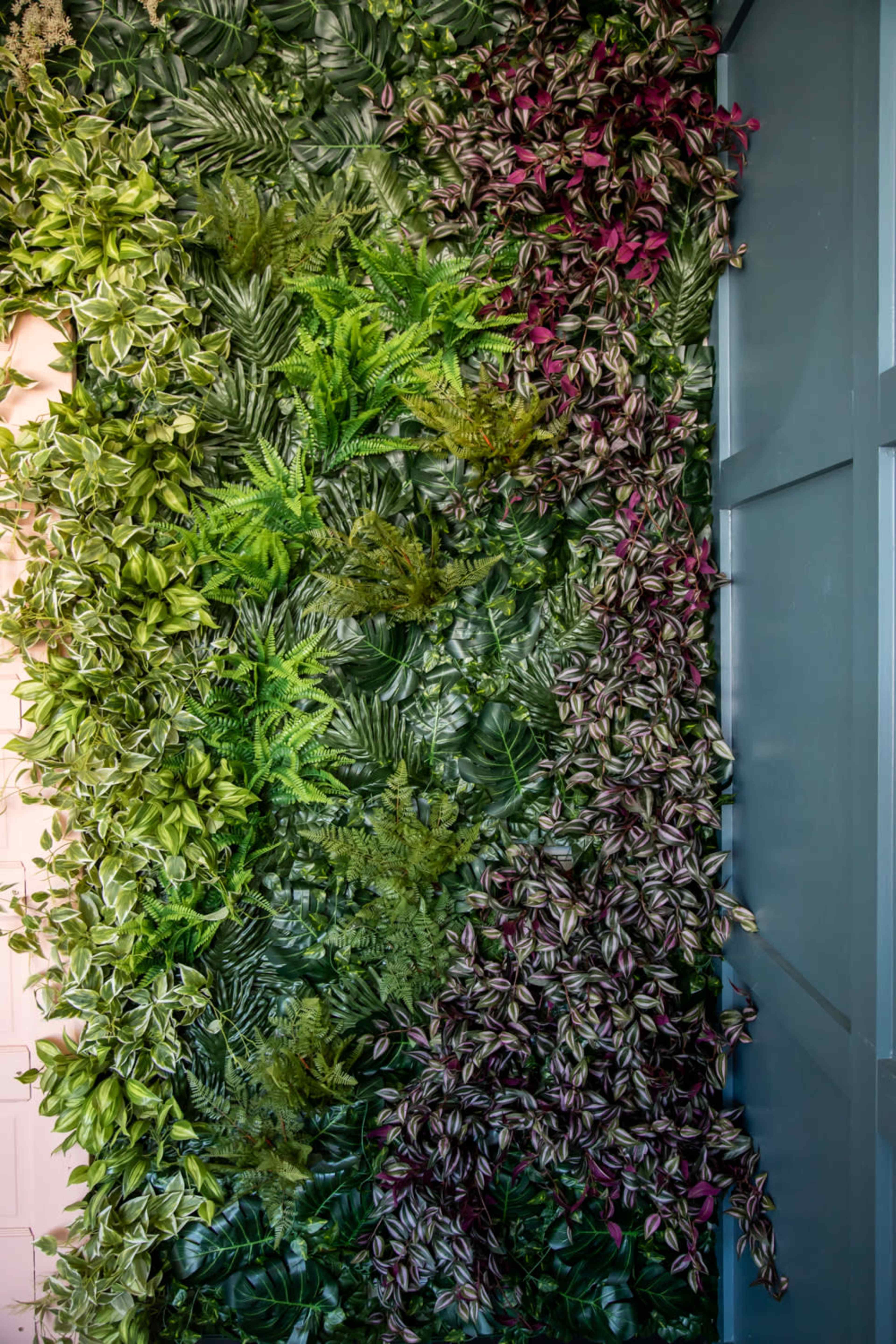 The image features a vertical wall covered with a variety of green and purple artificial plants.