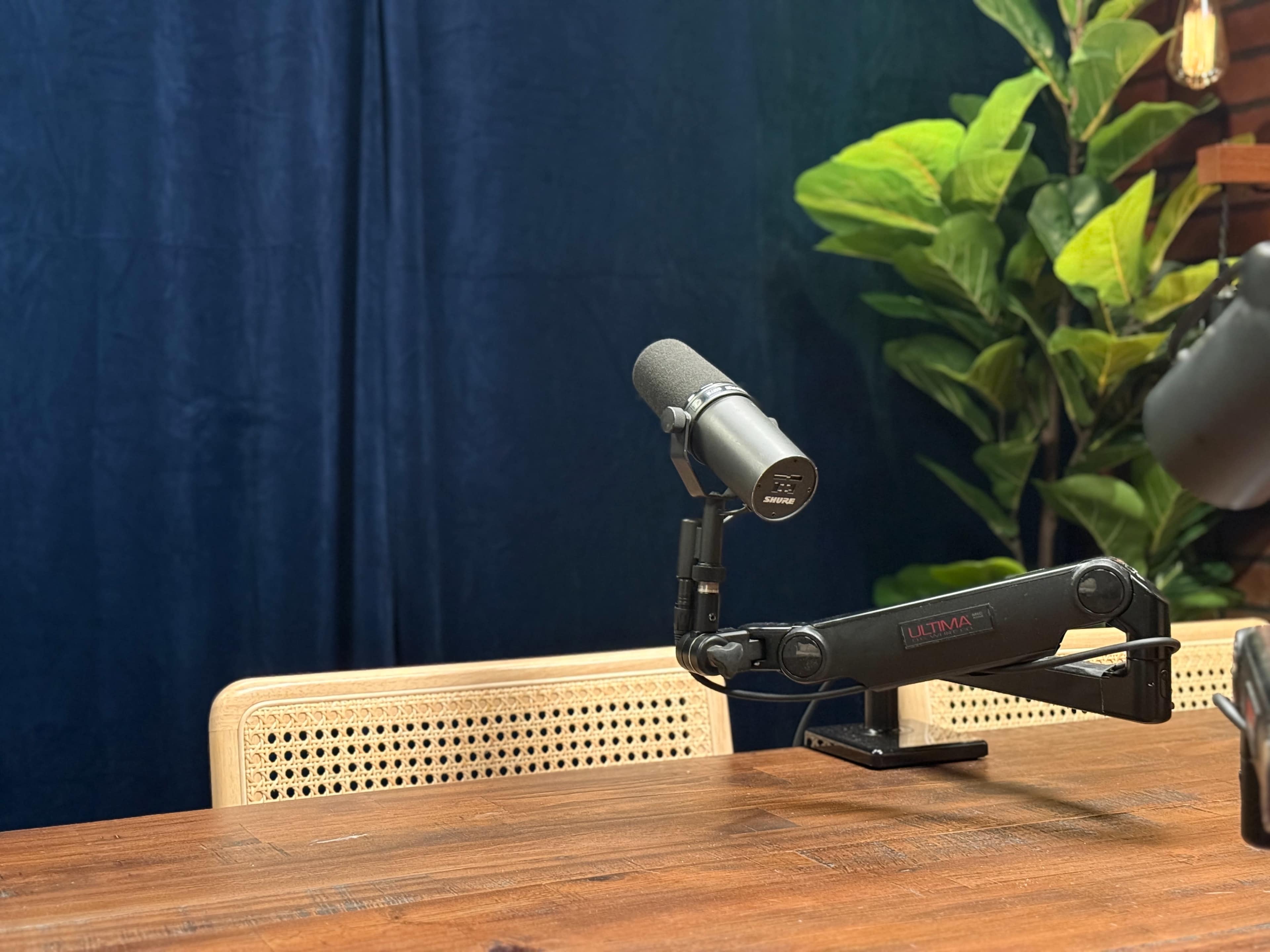 A microphone is positioned on a wooden table beside an empty chair, with a plant and dark blue backdrop in the background.