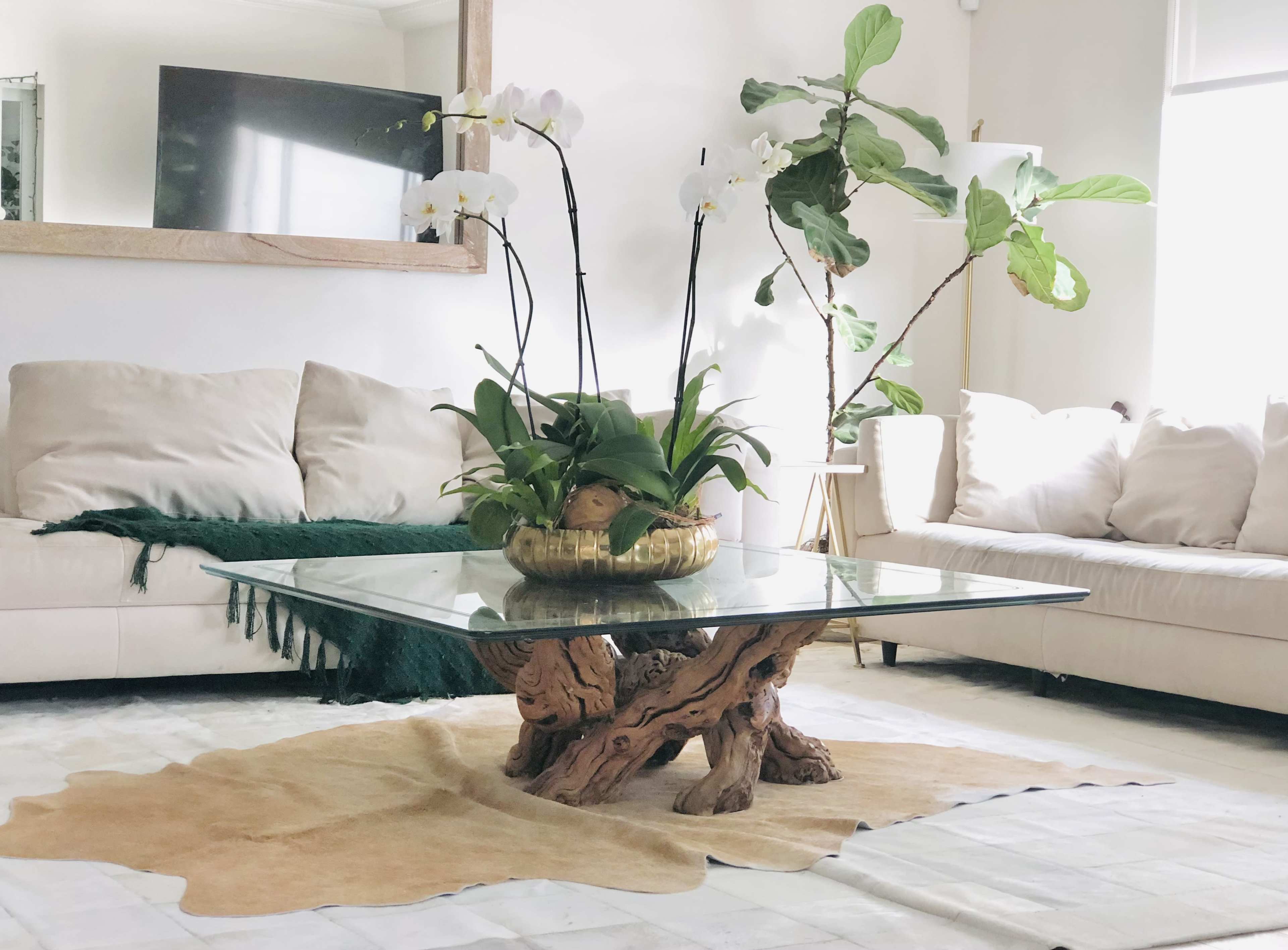 A glass coffee table with a decorative plant arrangement sits on a light-colored rug in a modern living room featuring a beige sofa and a large mirror.