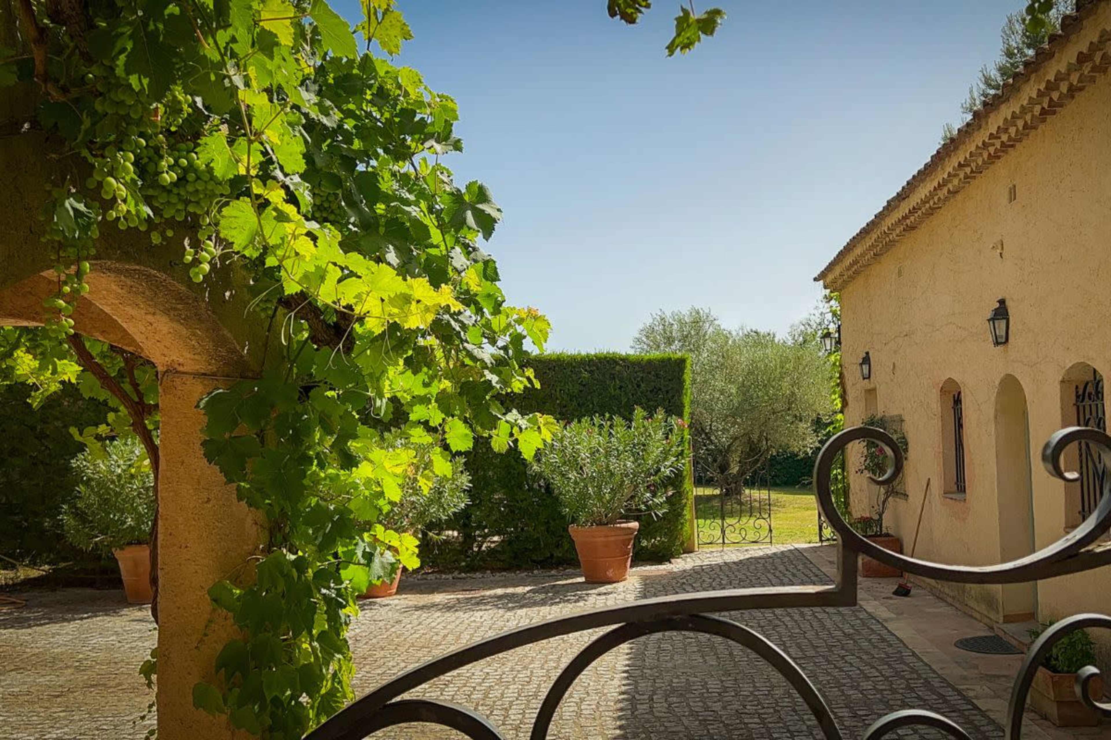 A stone pathway leads to a garden with potted plants and a building, framed by lush green grapevines.