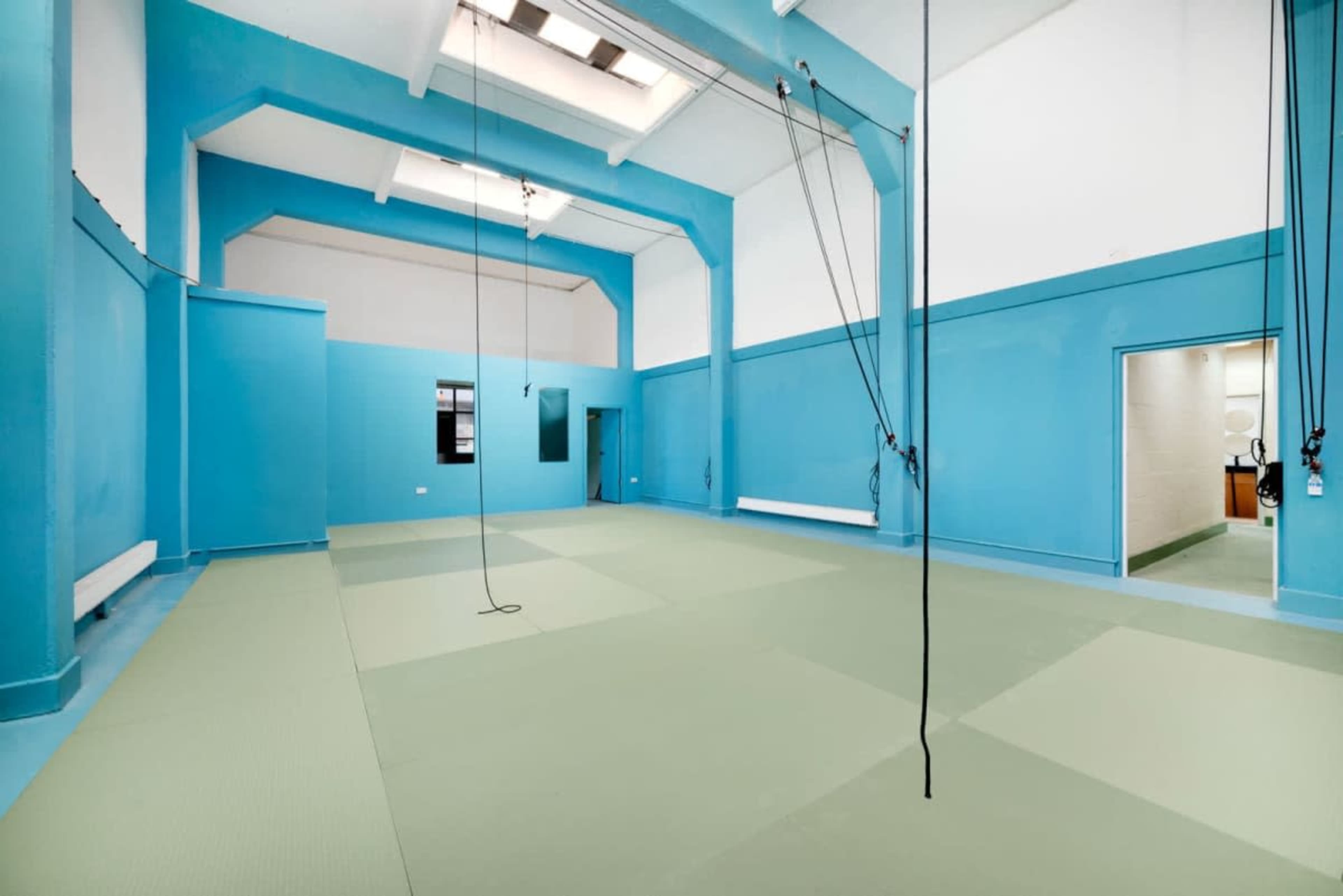 The image shows a spacious, light blue training room with green mats on the floor and ropes hanging from the ceiling.